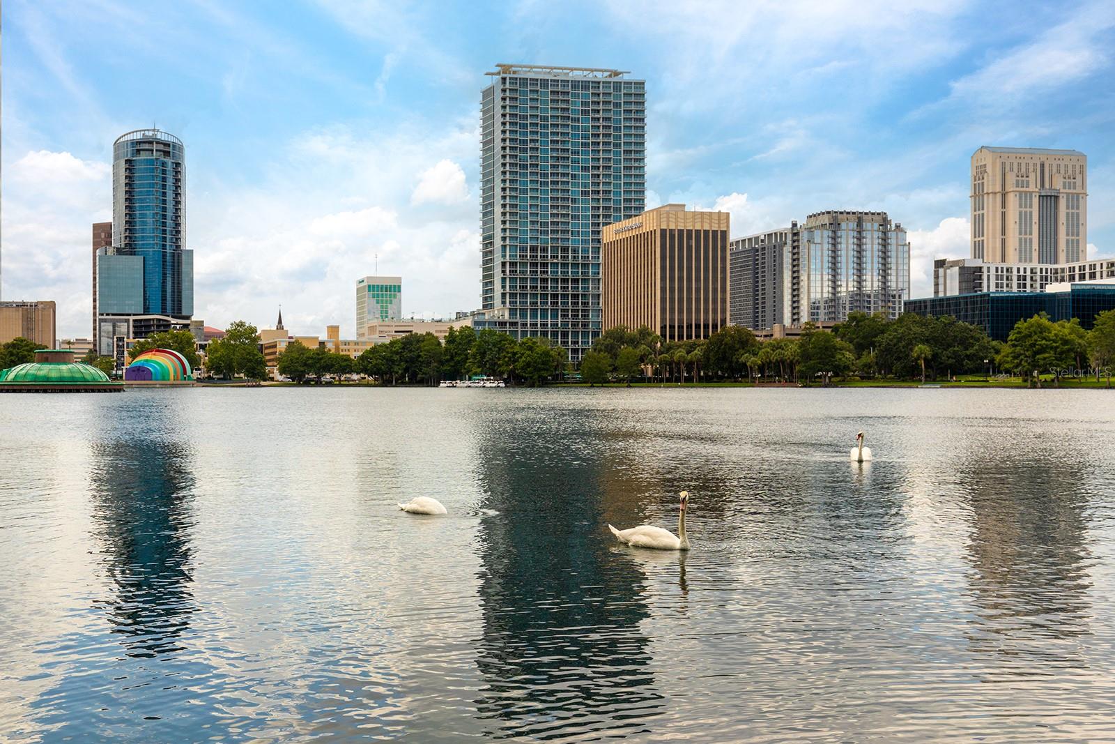 Image 33 of 34 For 150 Robinson Street 2408