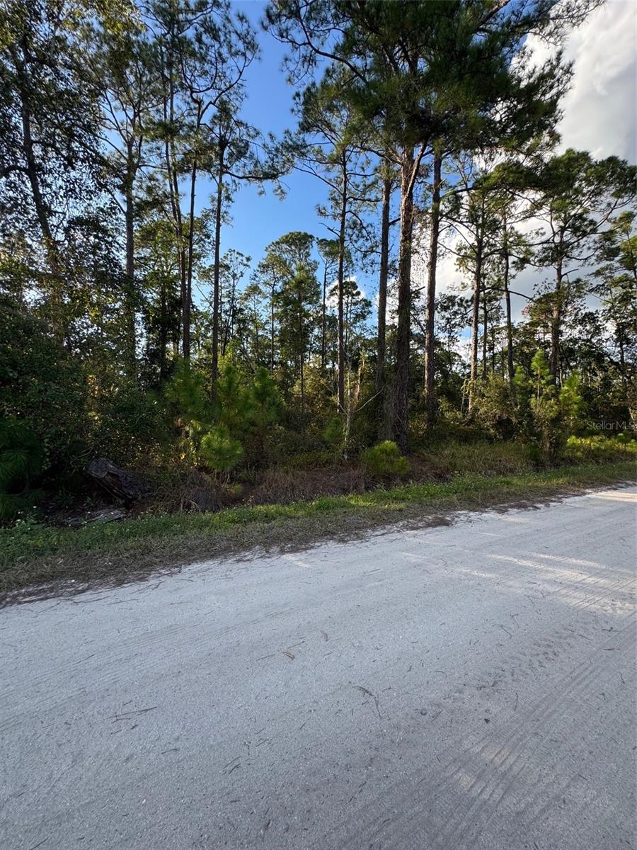 Image 2 of 2 For  11th Avenue 