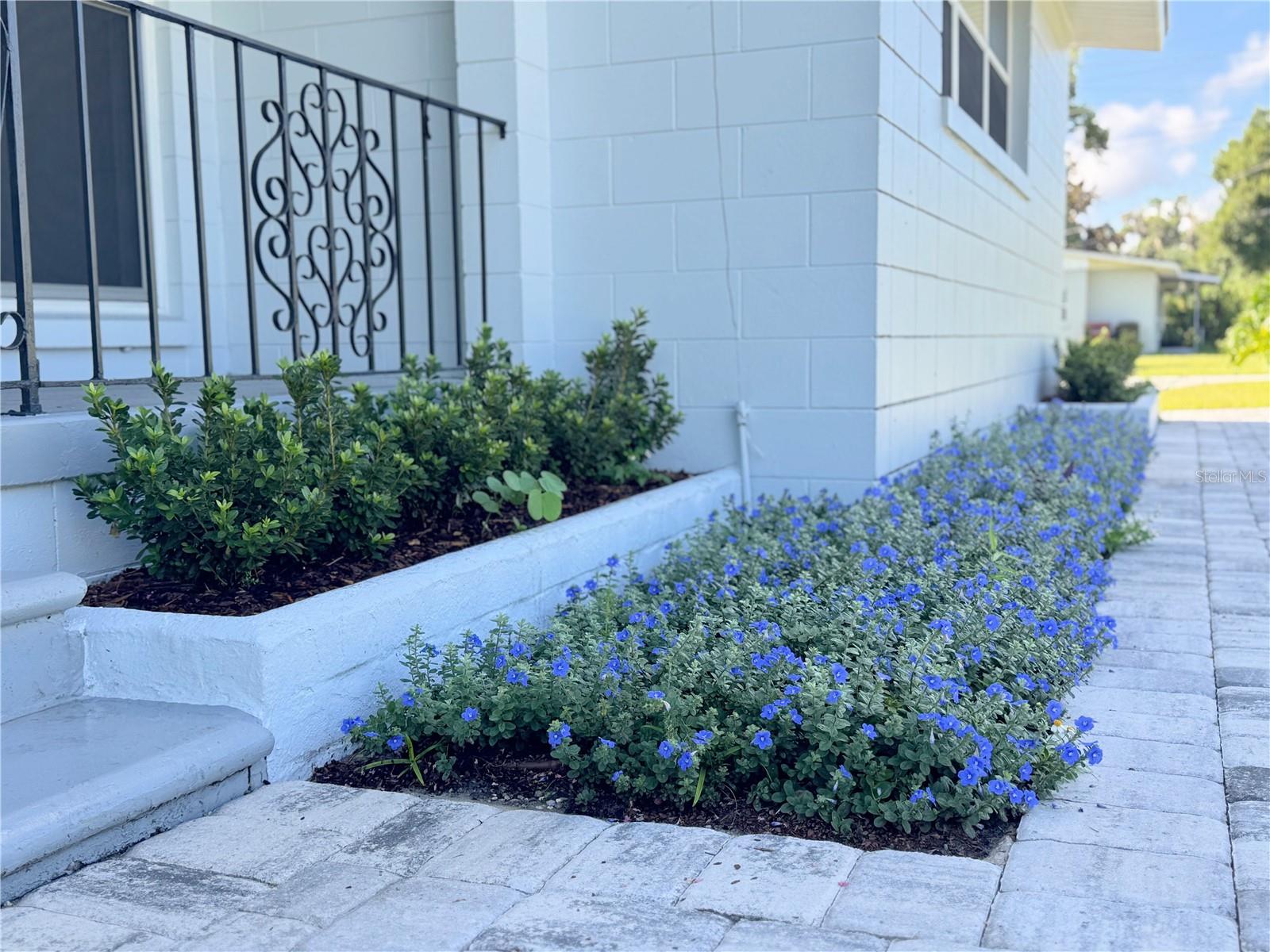 Image 5 of 59 For 631 Crystal Lake Drive