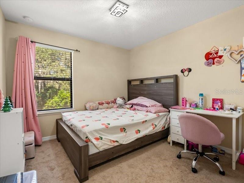 Image 17 of 27 For 628 Joyful Blossom Place