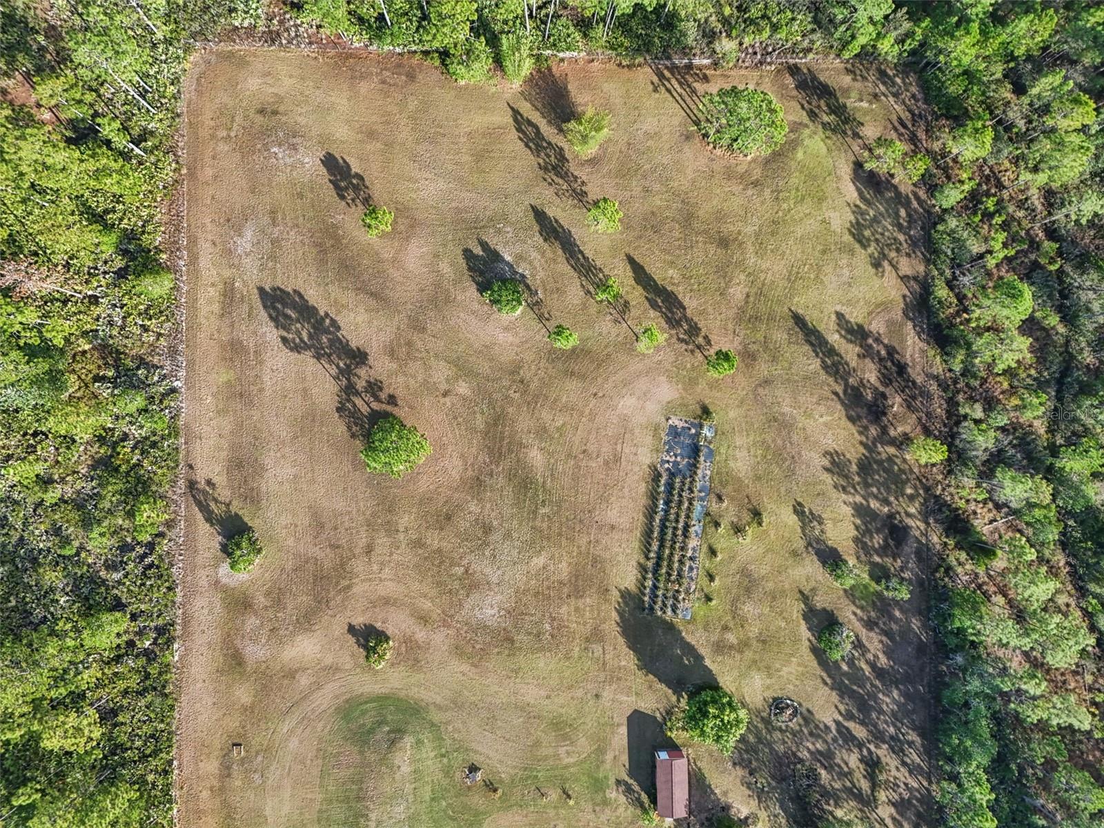 Image 42 of 49 For 6031 Bancroft Boulevard