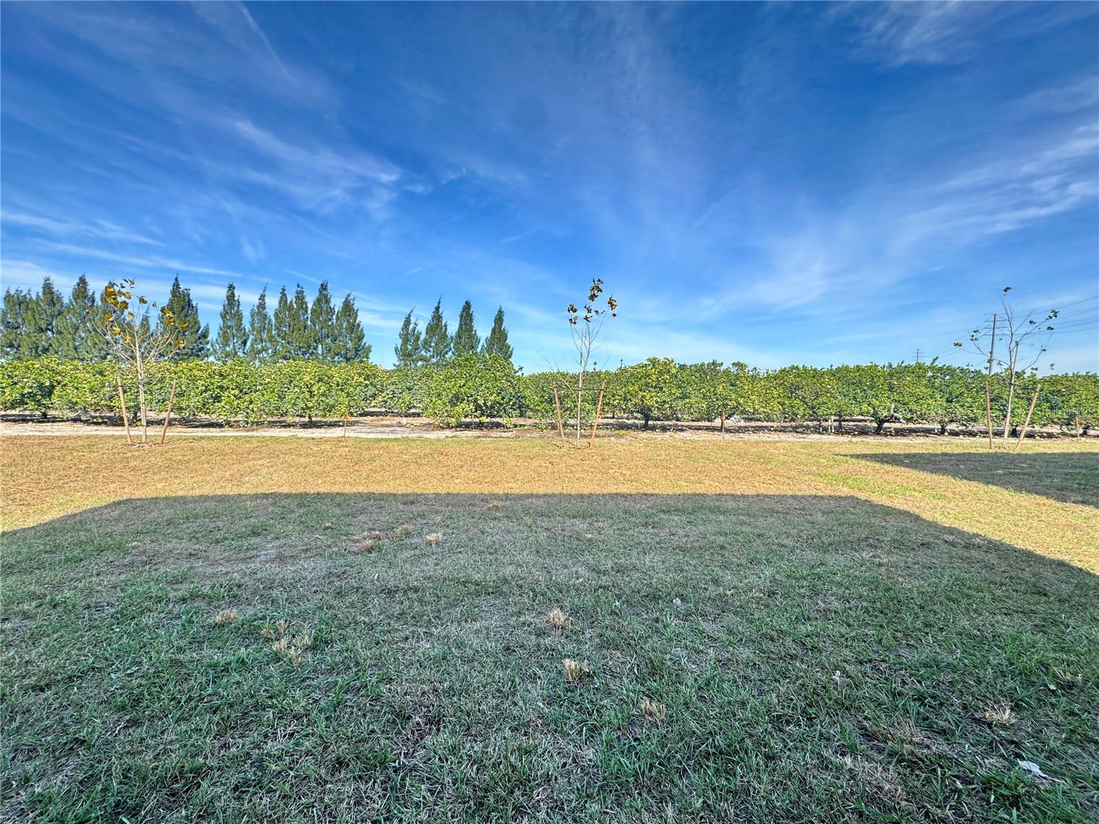 Image 10 of 36 For 2167 Chris Drive