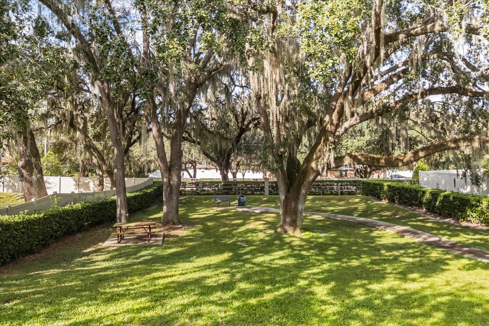 Image 63 of 70 For 639 Primrose Willow Way