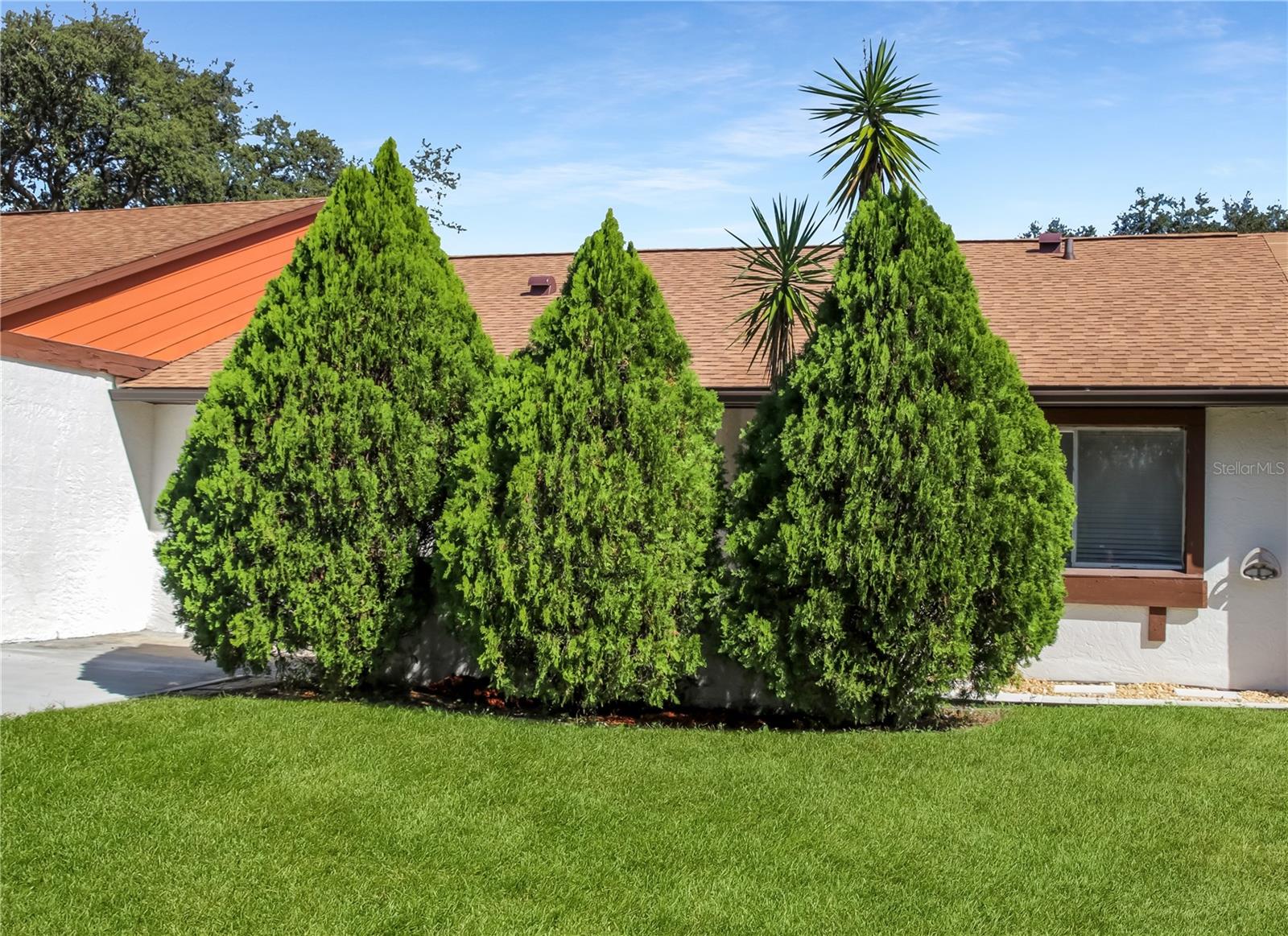 Image 2 of 22 For 134 Sand Pine Circle