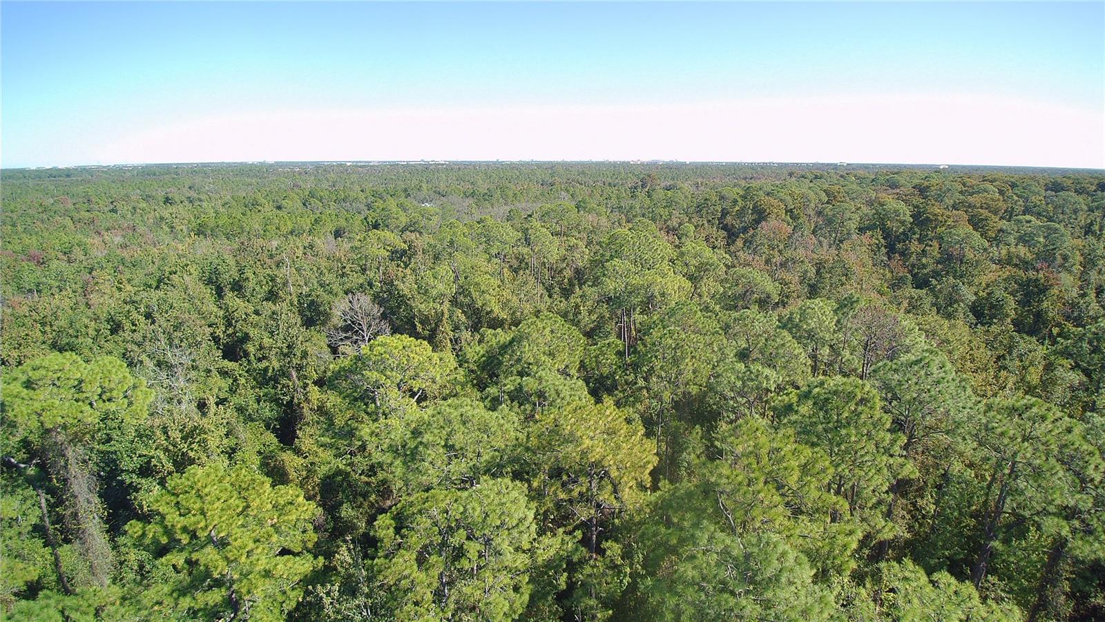 Image 66 of 72 For 2323 Goodman Road