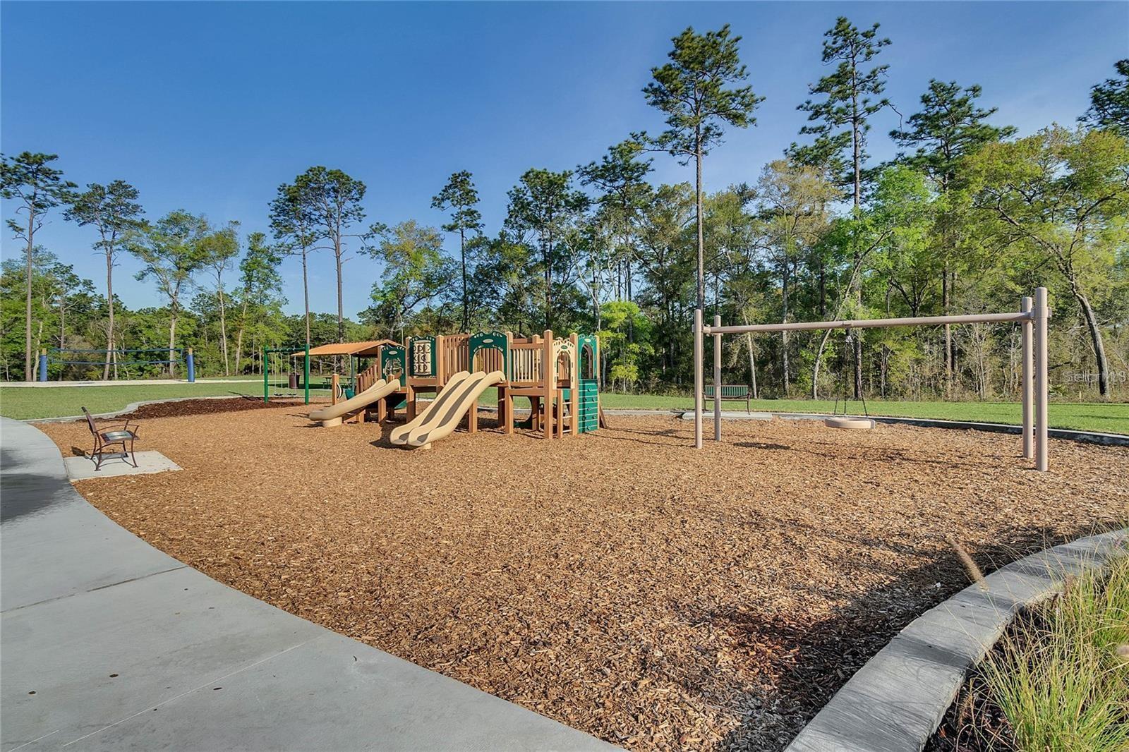 Image 41 of 47 For 462 Baroness Way