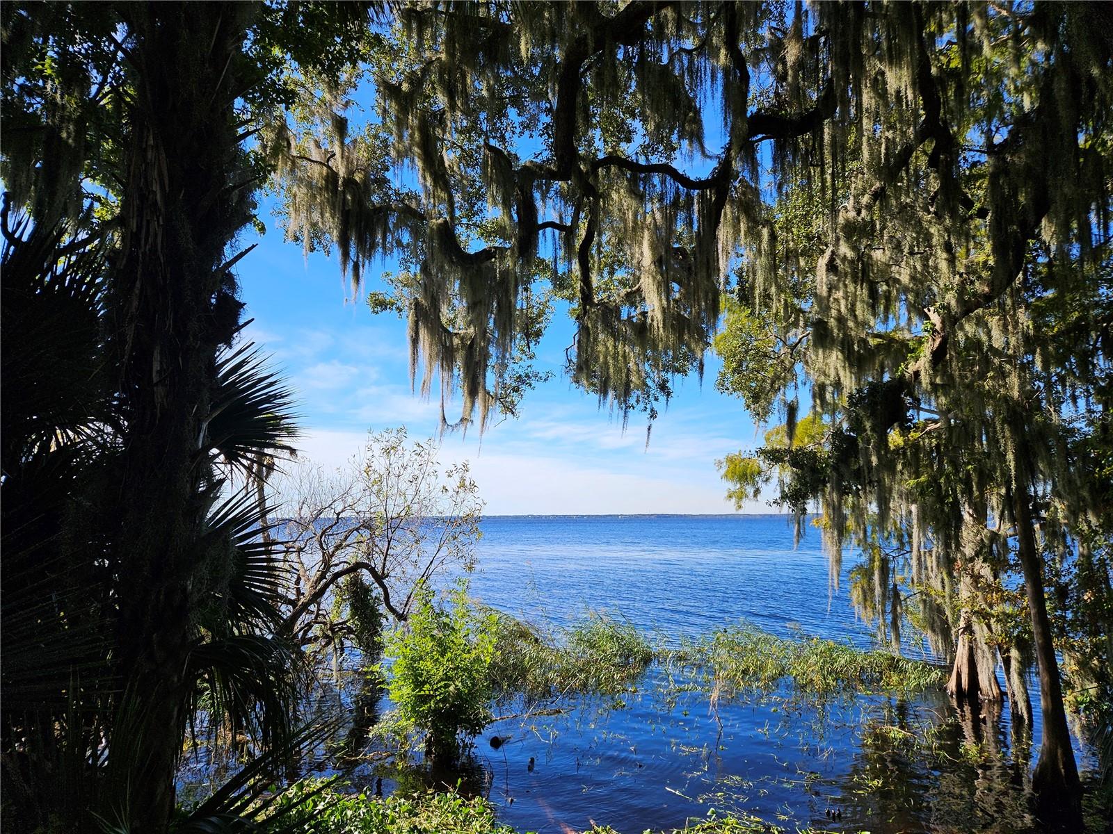 Image 24 of 27 For 100 Sweetgum Woods Ct  2c