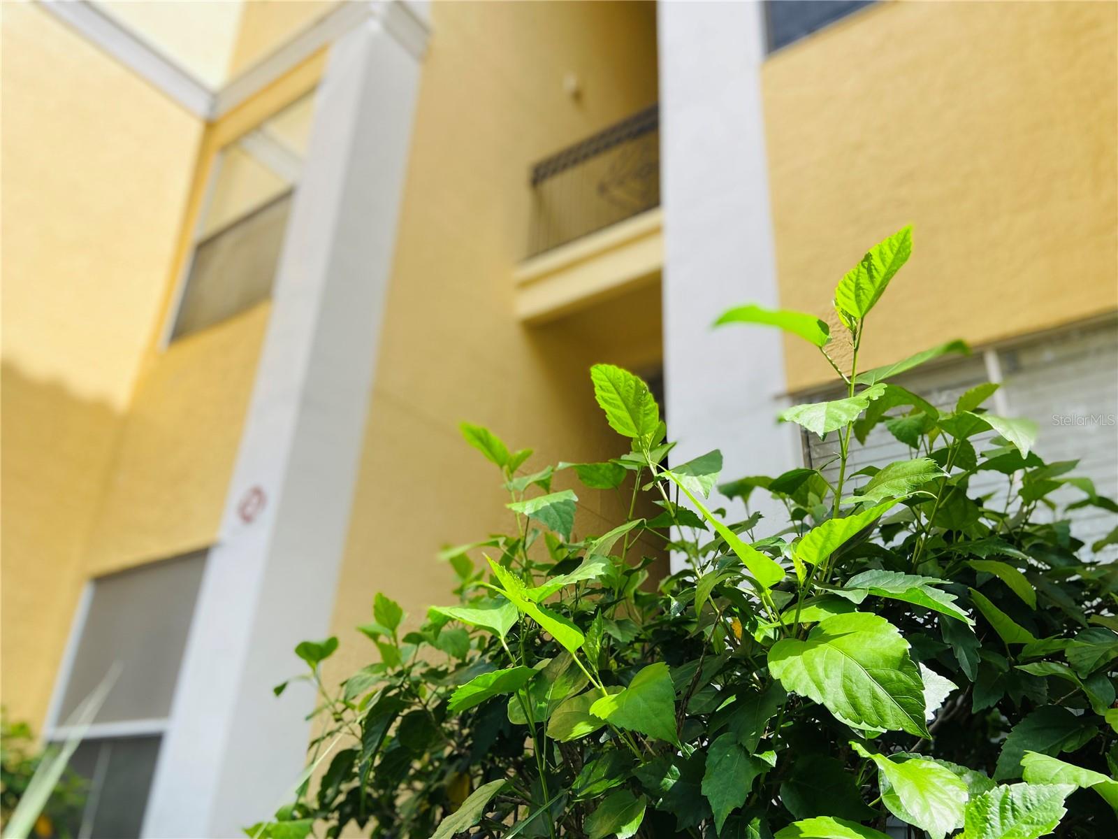 Image 2 of 41 For Address Not Provided