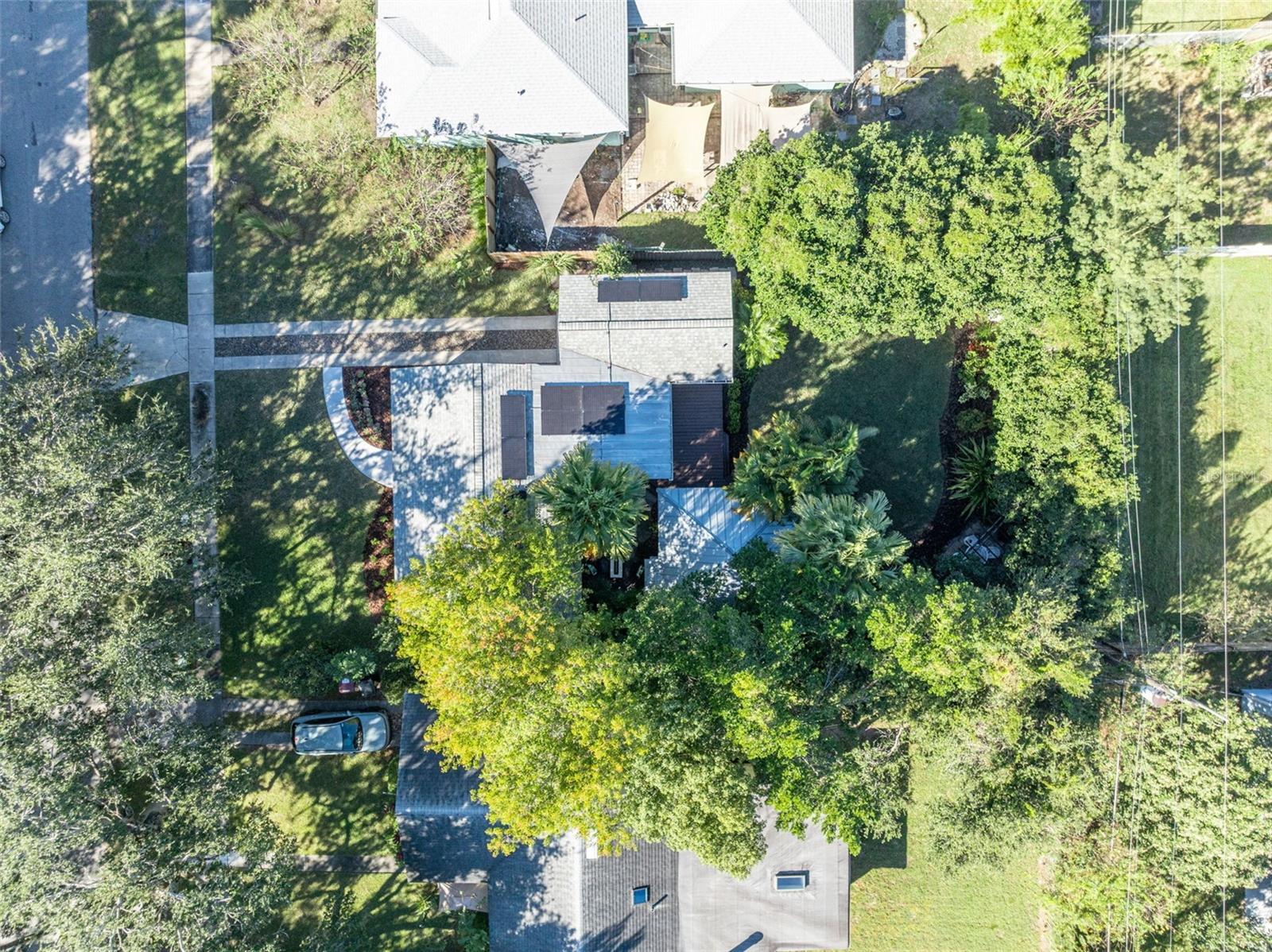 Image 41 of 63 For 2021 Palmer Street