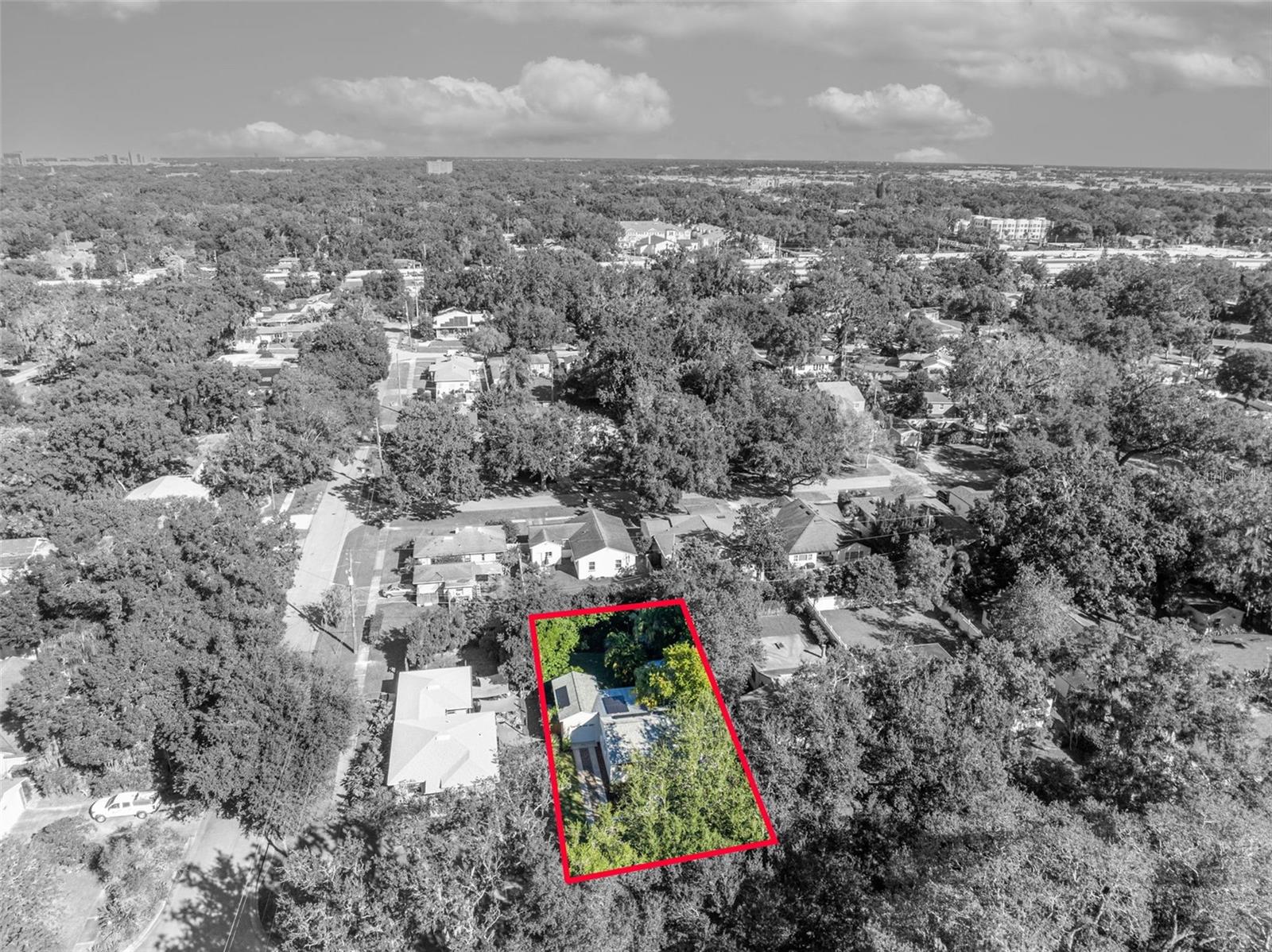 Image 46 of 63 For 2021 Palmer Street