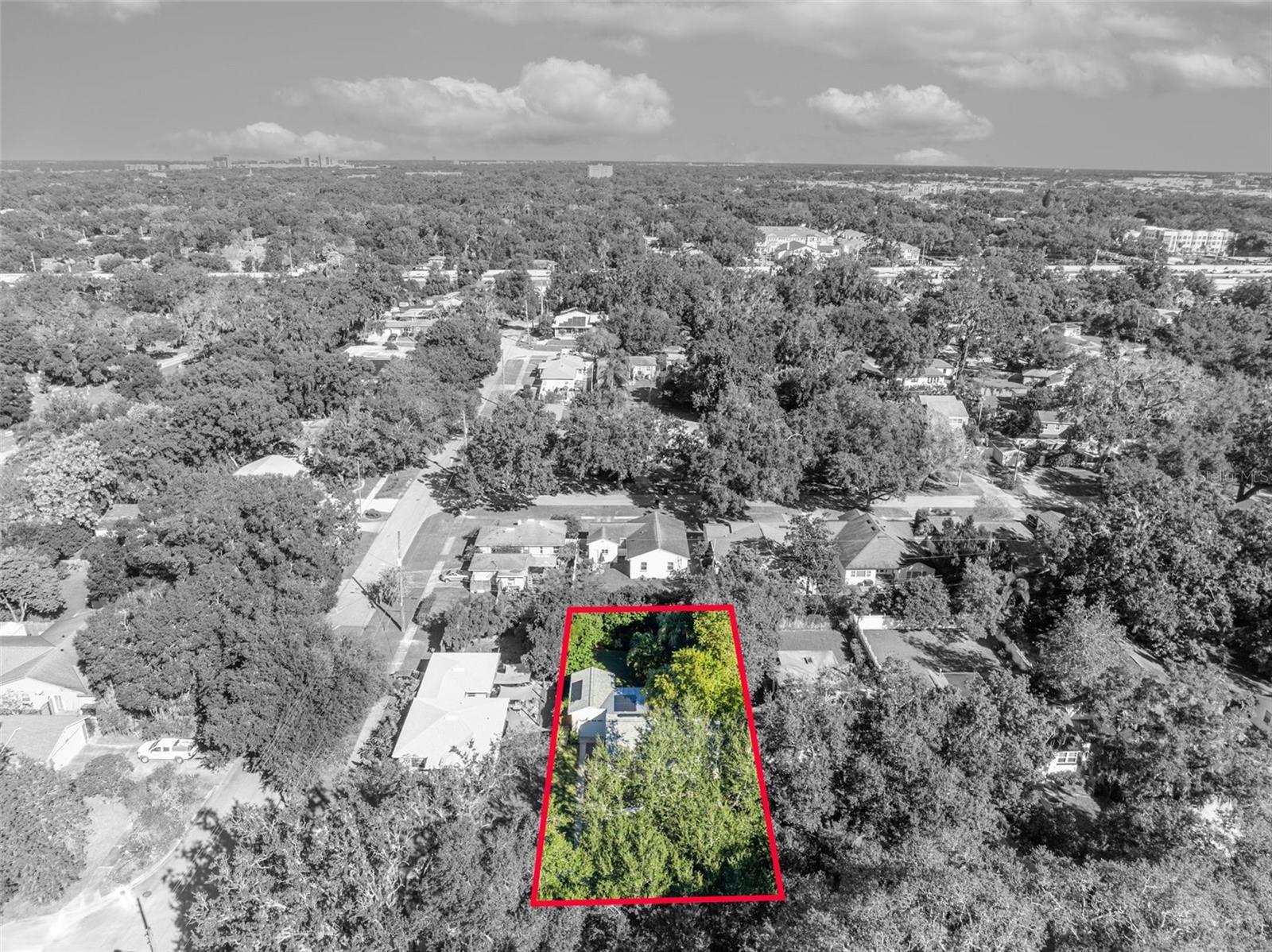 Image 48 of 63 For 2021 Palmer Street