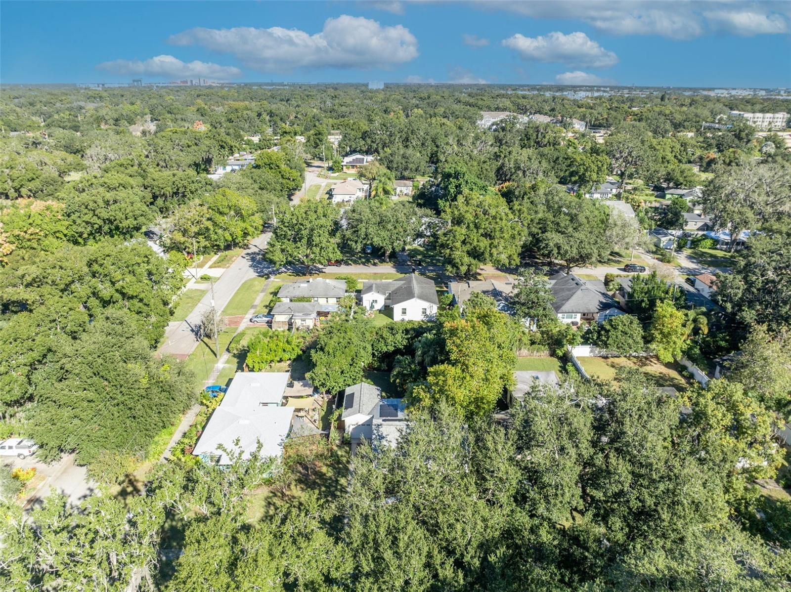 Image 50 of 63 For 2021 Palmer Street