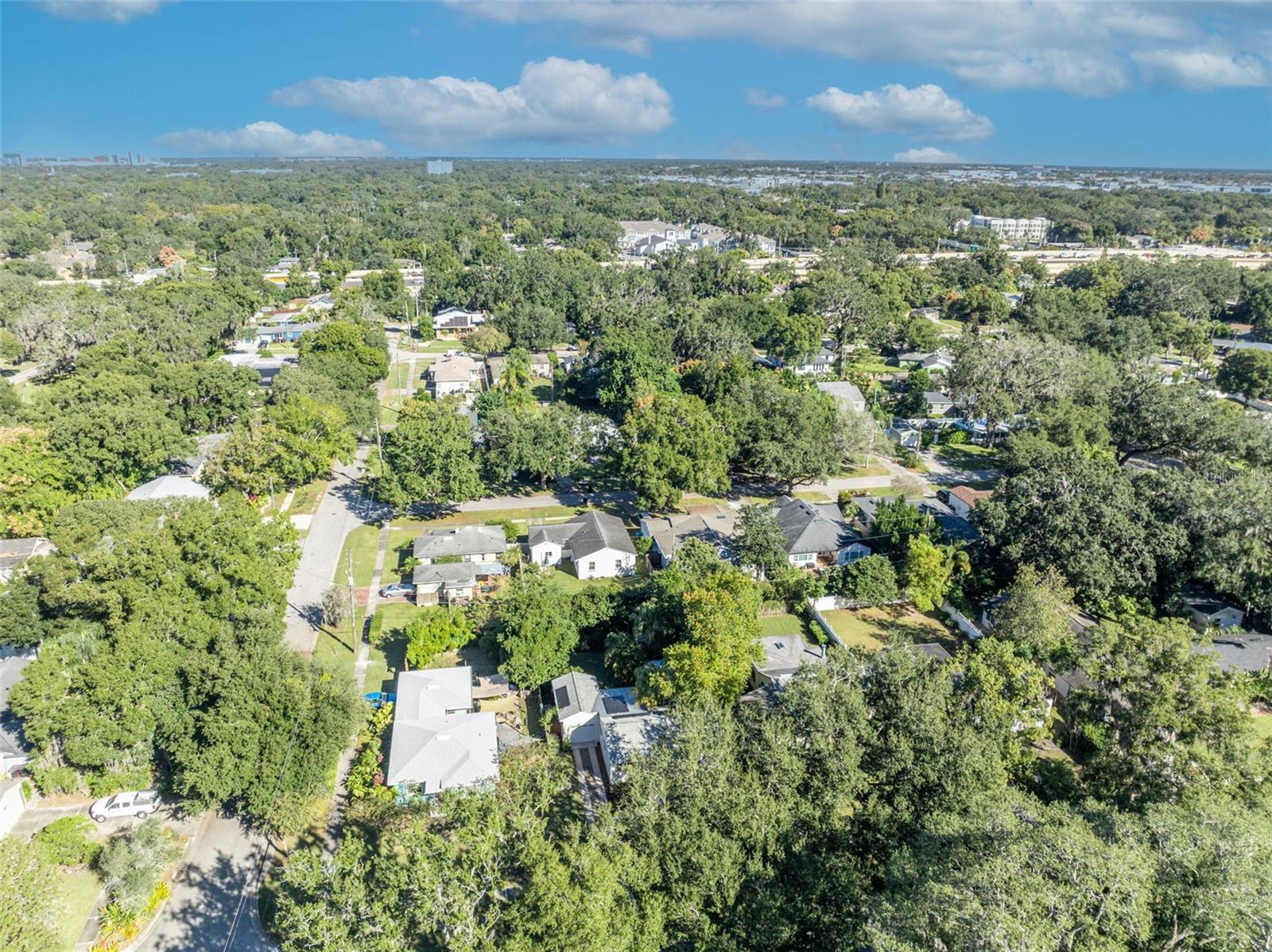 Image 52 of 63 For 2021 Palmer Street