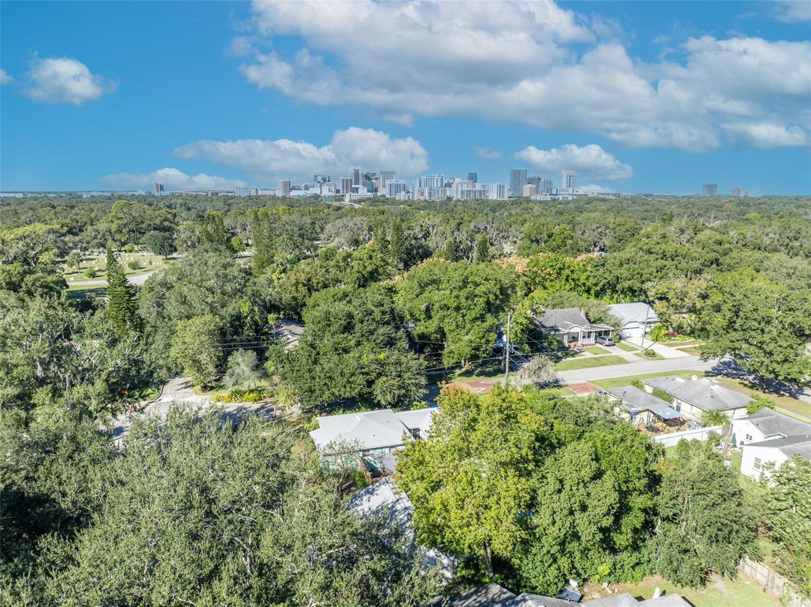 Image 63 of 63 For 2021 Palmer Street