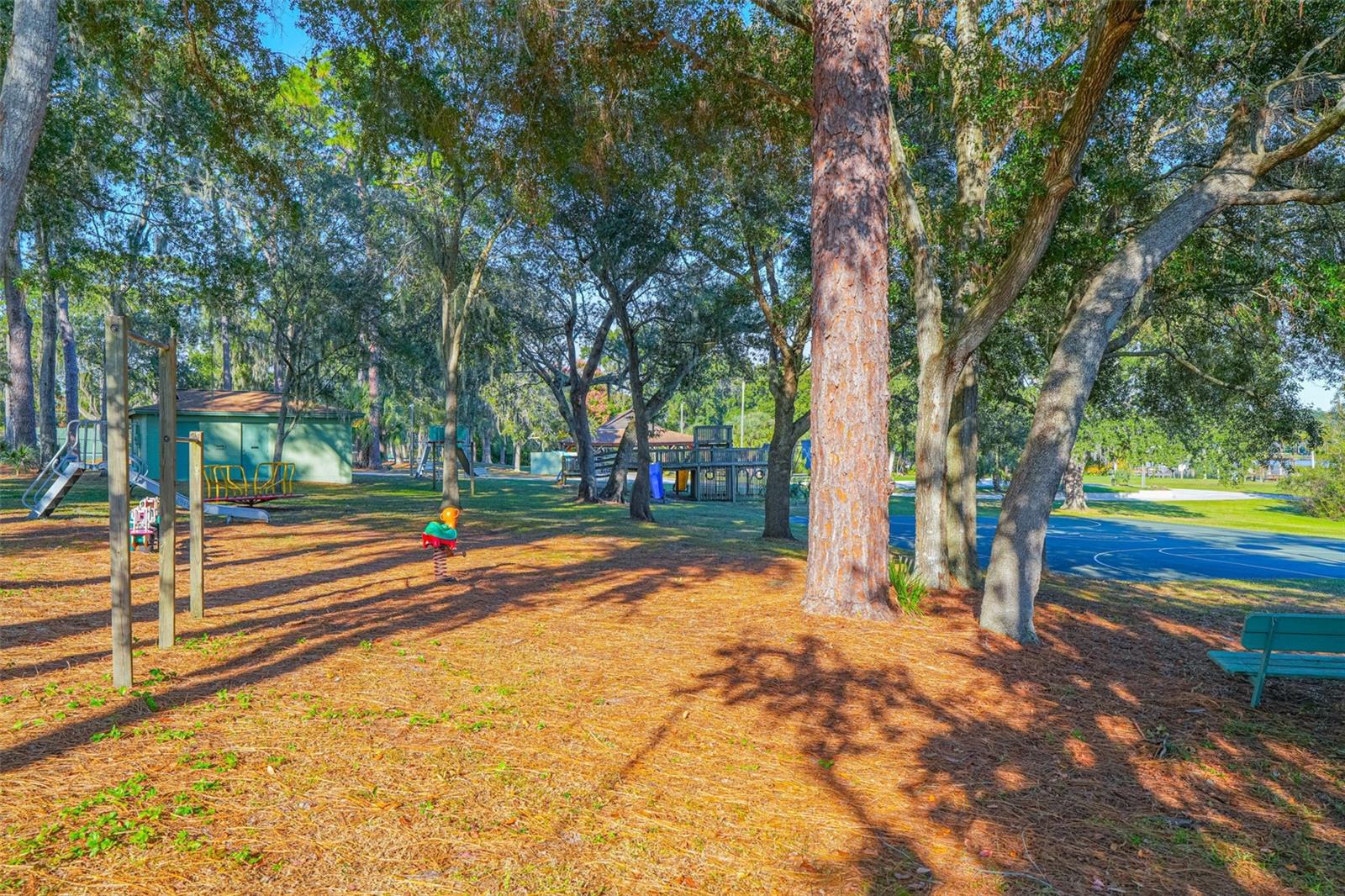 Image 59 of 70 For 354 Prima Vera Cove