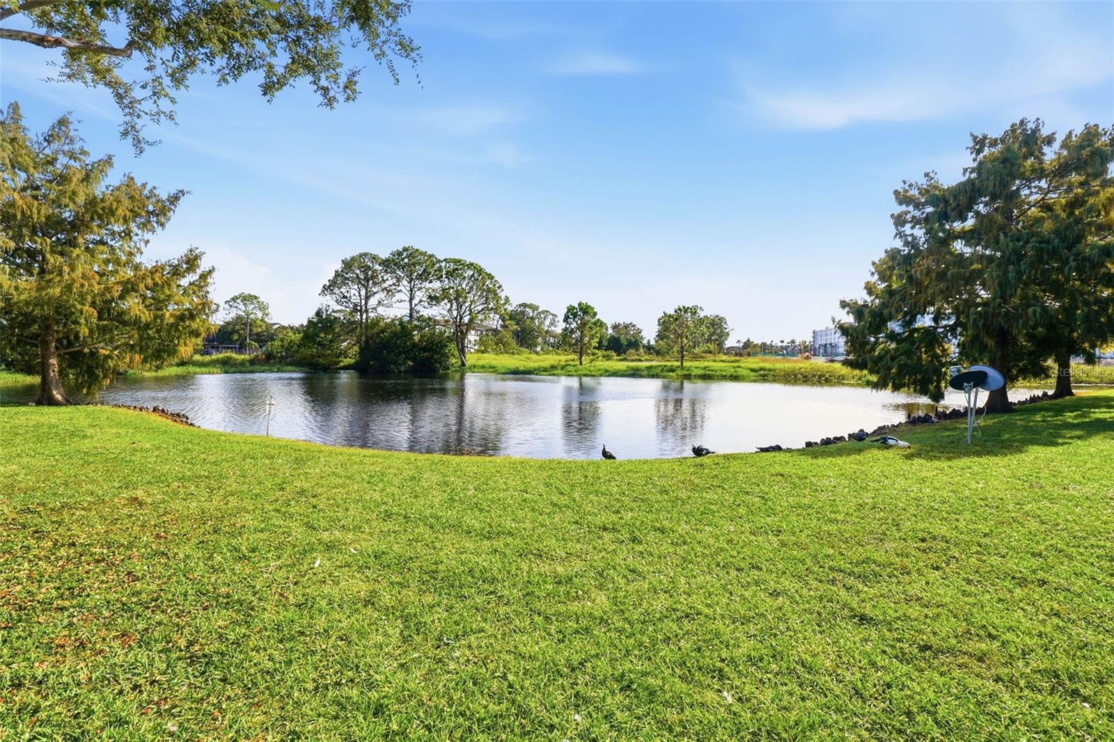 Image 32 of 32 For 3702 Palm Desert Lane 5437