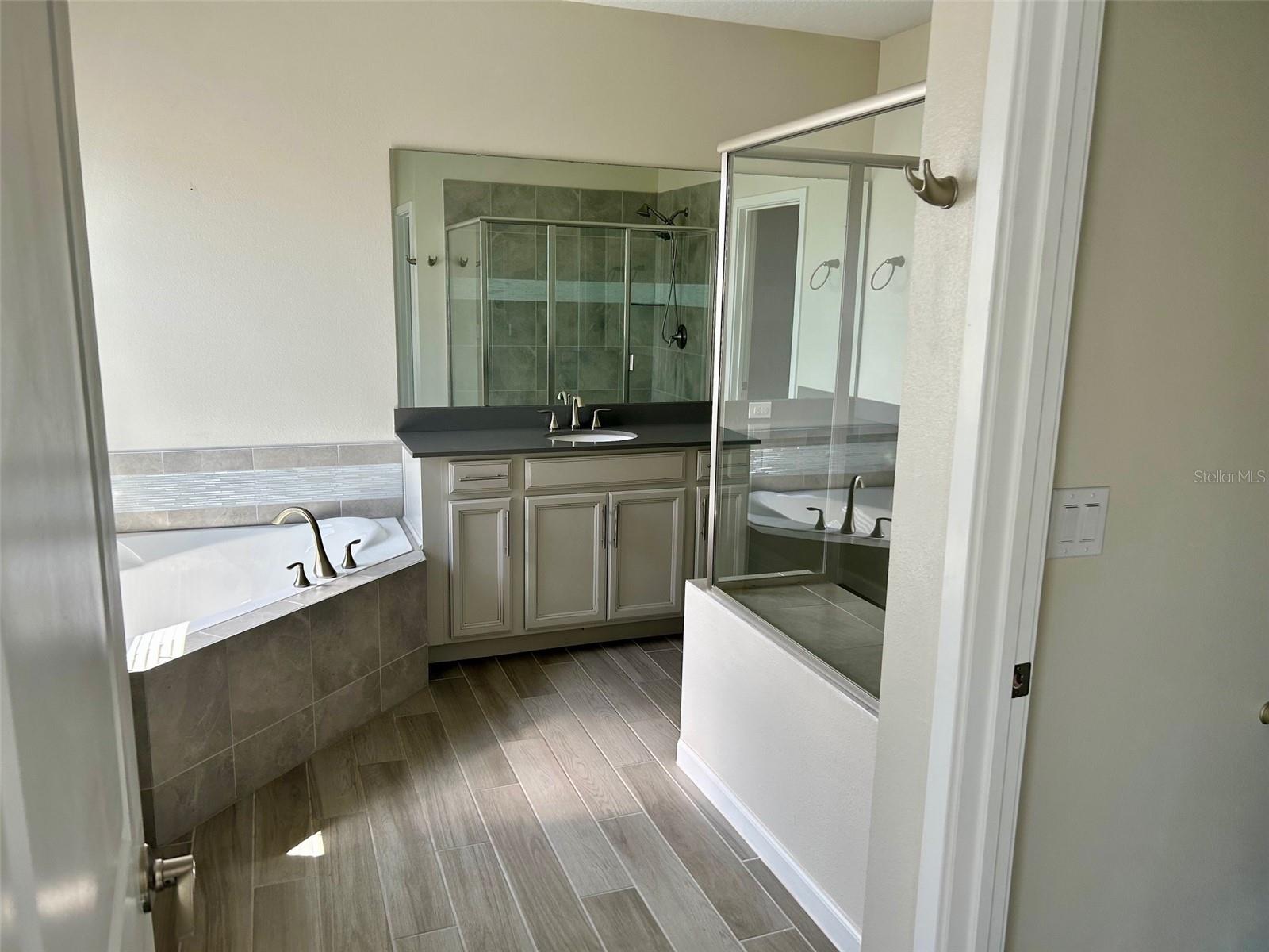 Image 18 of 28 For 254 Wooded Vine Lane