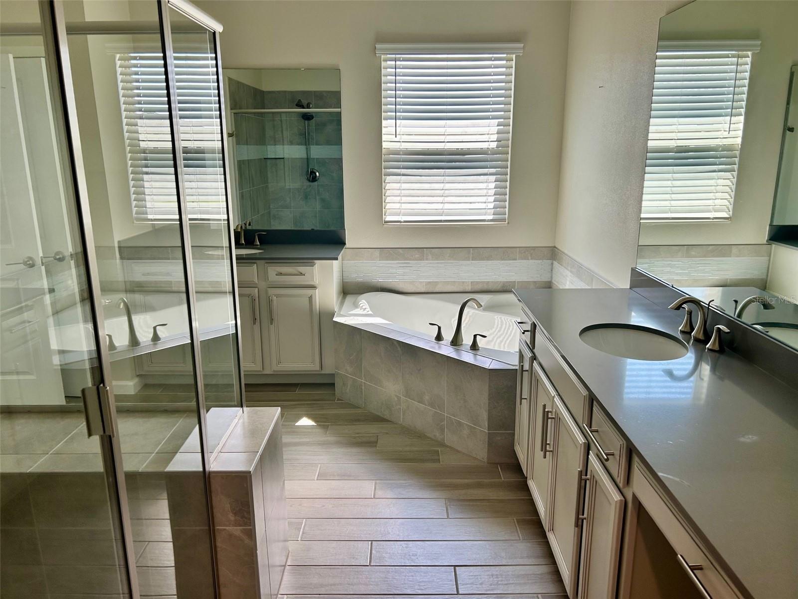 Image 23 of 28 For 254 Wooded Vine Lane