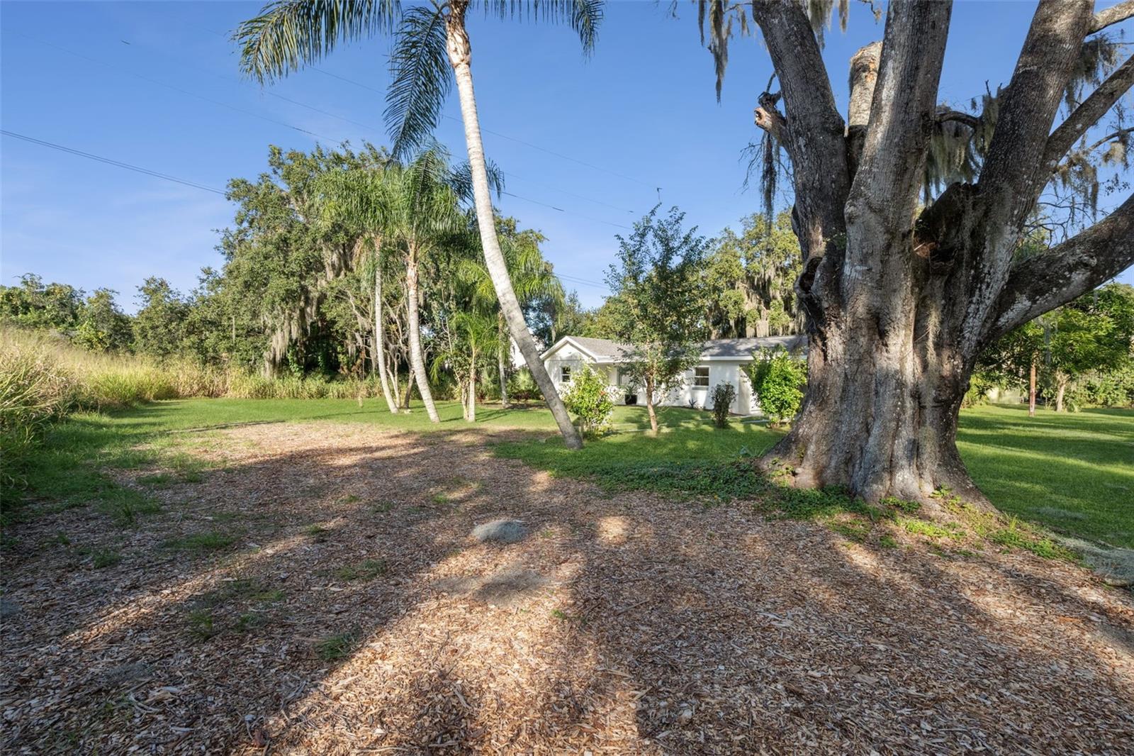 Image 29 of 29 For 3761 Jessup Avenue