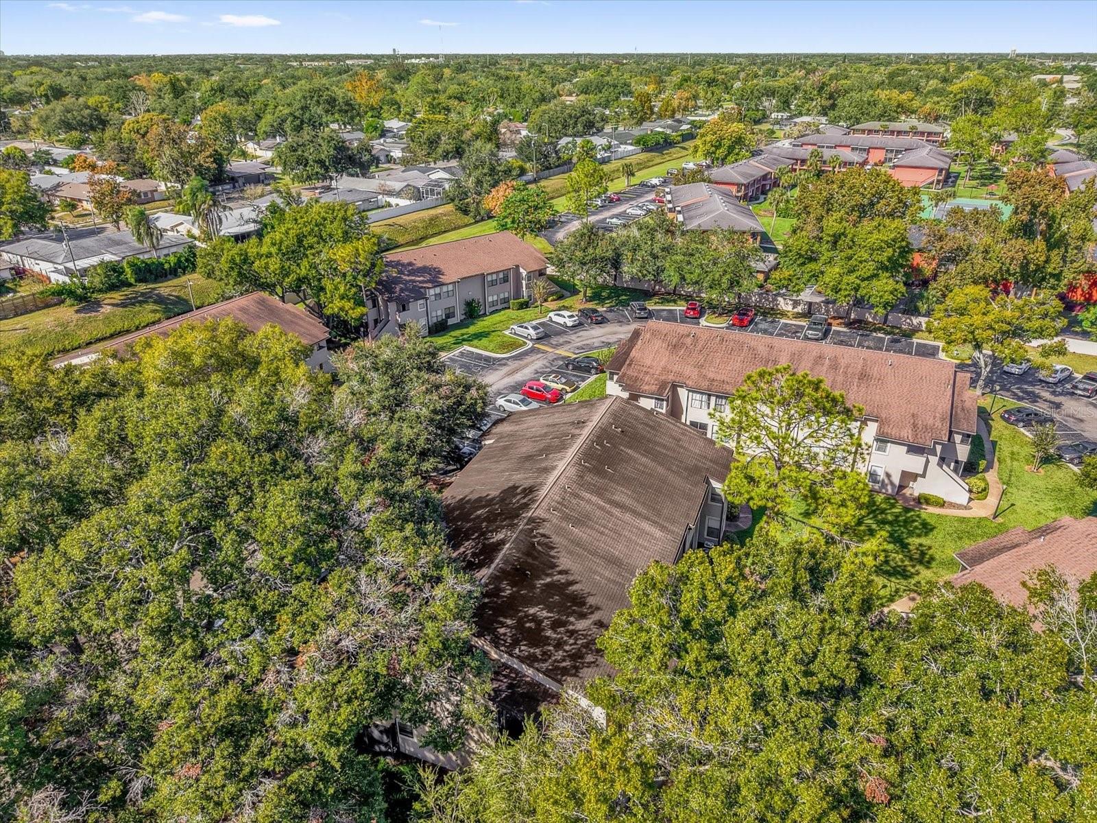 Image 23 of 31 For 2941 Antique Oaks Circle 79