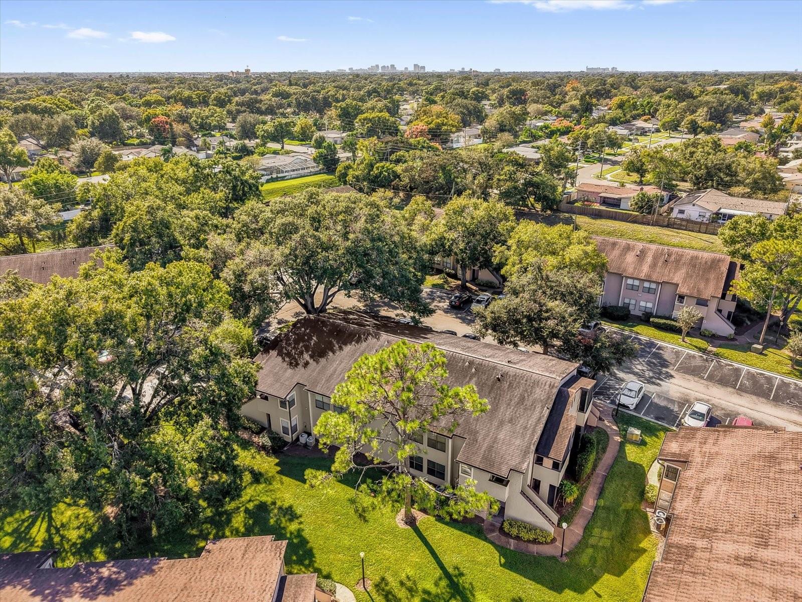 Image 24 of 31 For 2941 Antique Oaks Circle 79