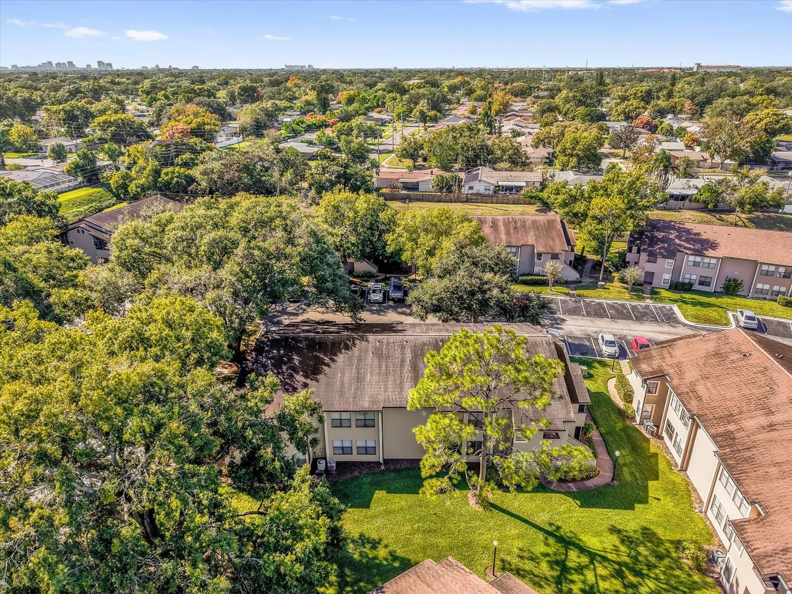 Image 25 of 31 For 2941 Antique Oaks Circle 79