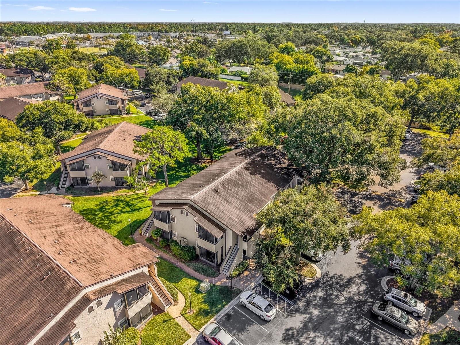 Image 26 of 31 For 2941 Antique Oaks Circle 79