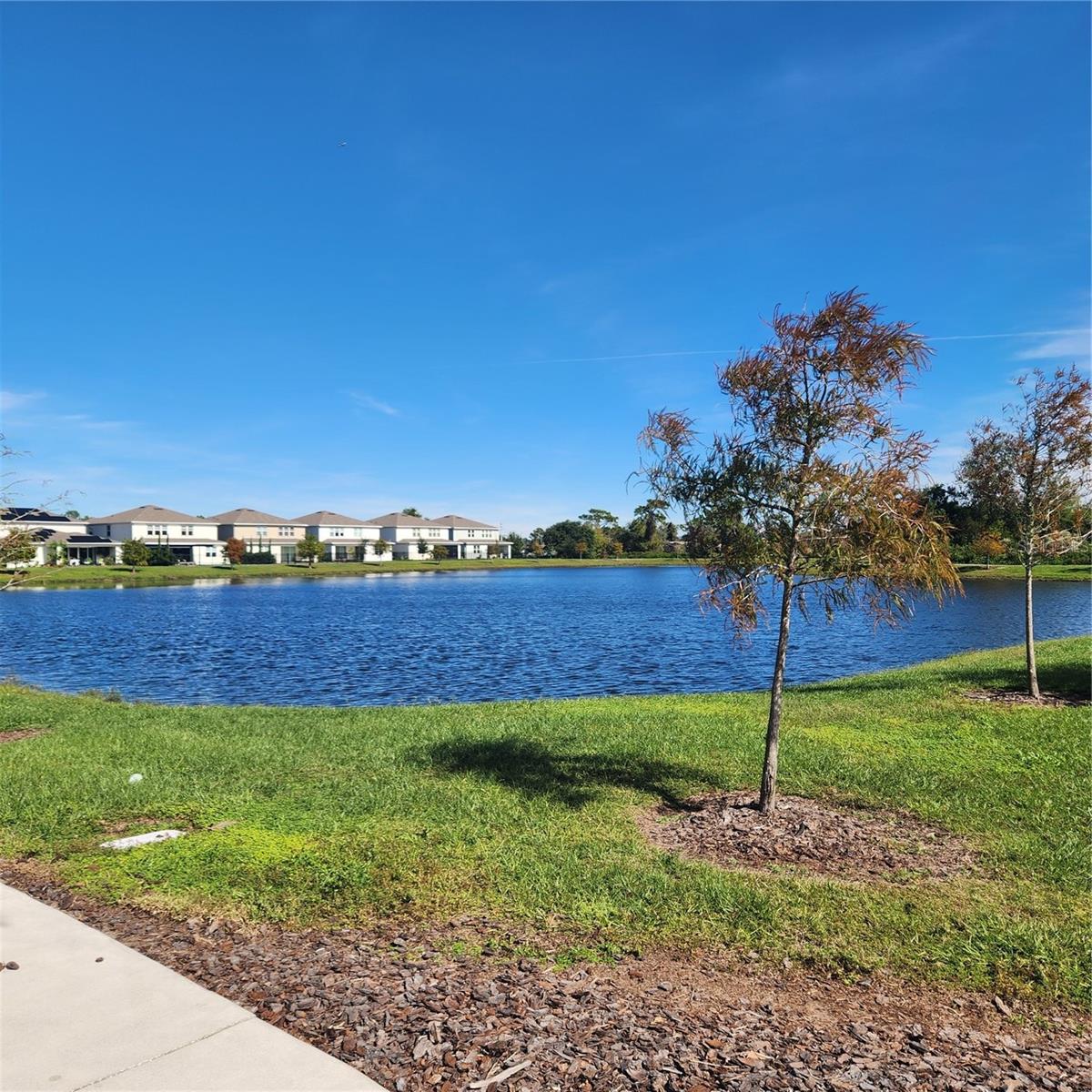 Image 51 of 55 For 2710 Forestdale Street