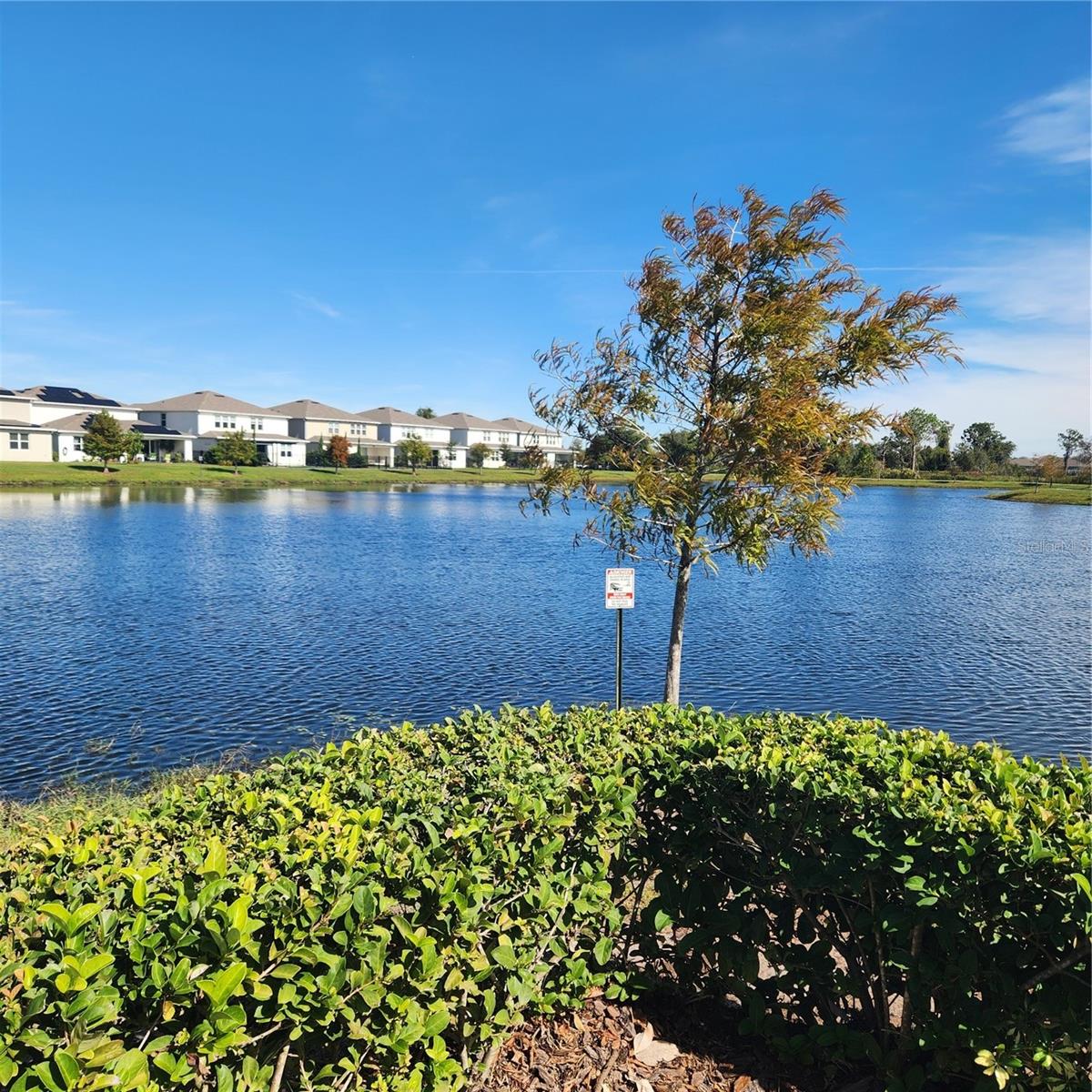 Image 53 of 55 For 2710 Forestdale Street