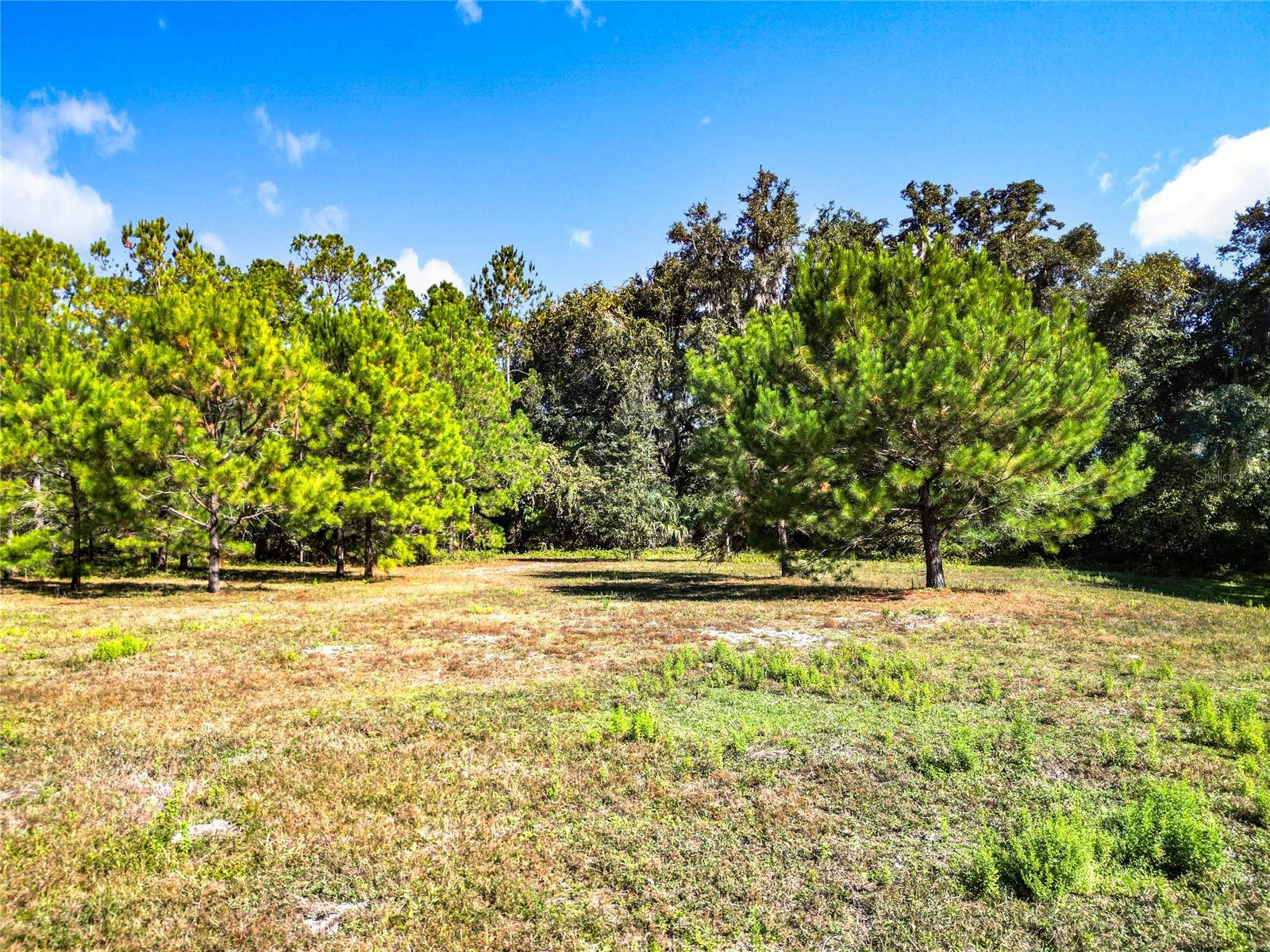 Image 6 of 33 For 16990 30th Court