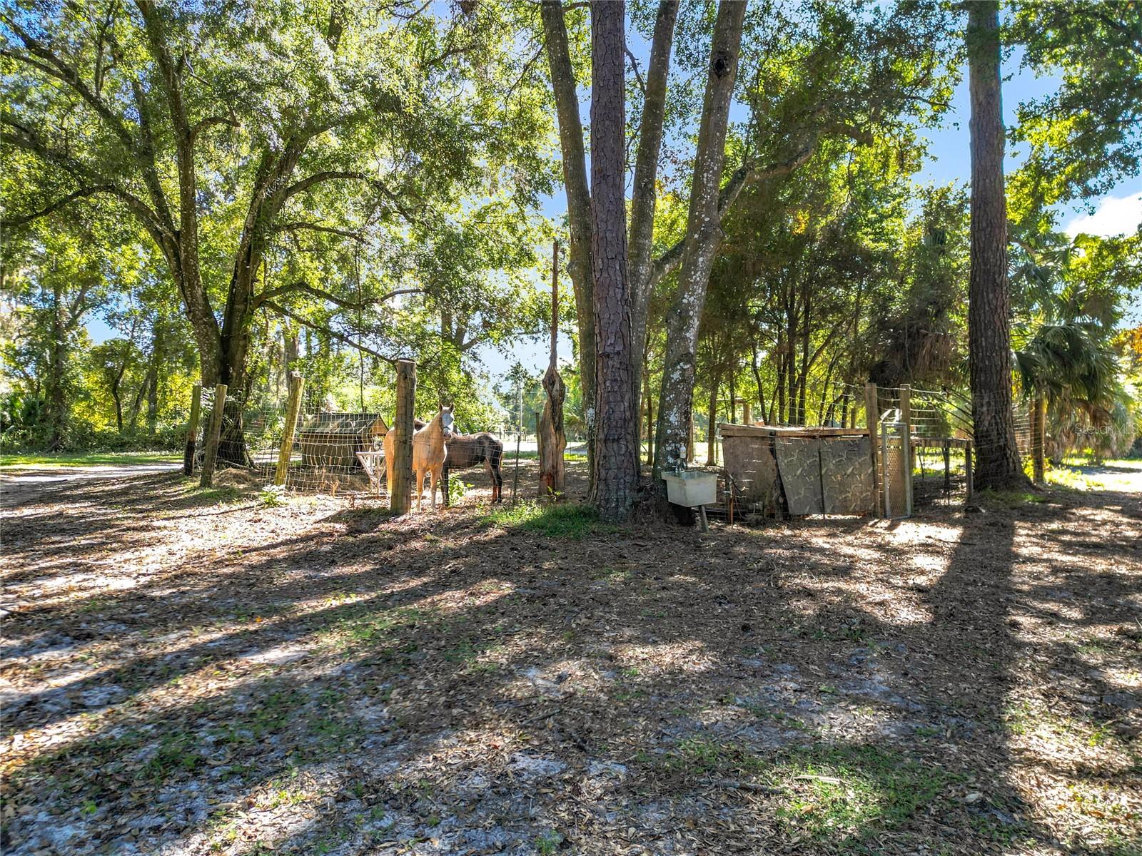 Image 9 of 33 For 16990 30th Court