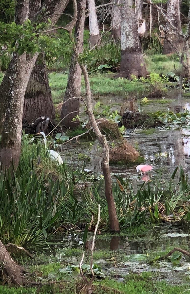 Image 86 of 88 For 1092 Wading Waters Circle
