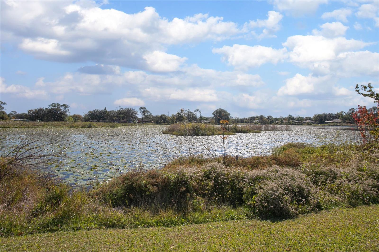 Image 18 of 19 For 2821 Canal Road