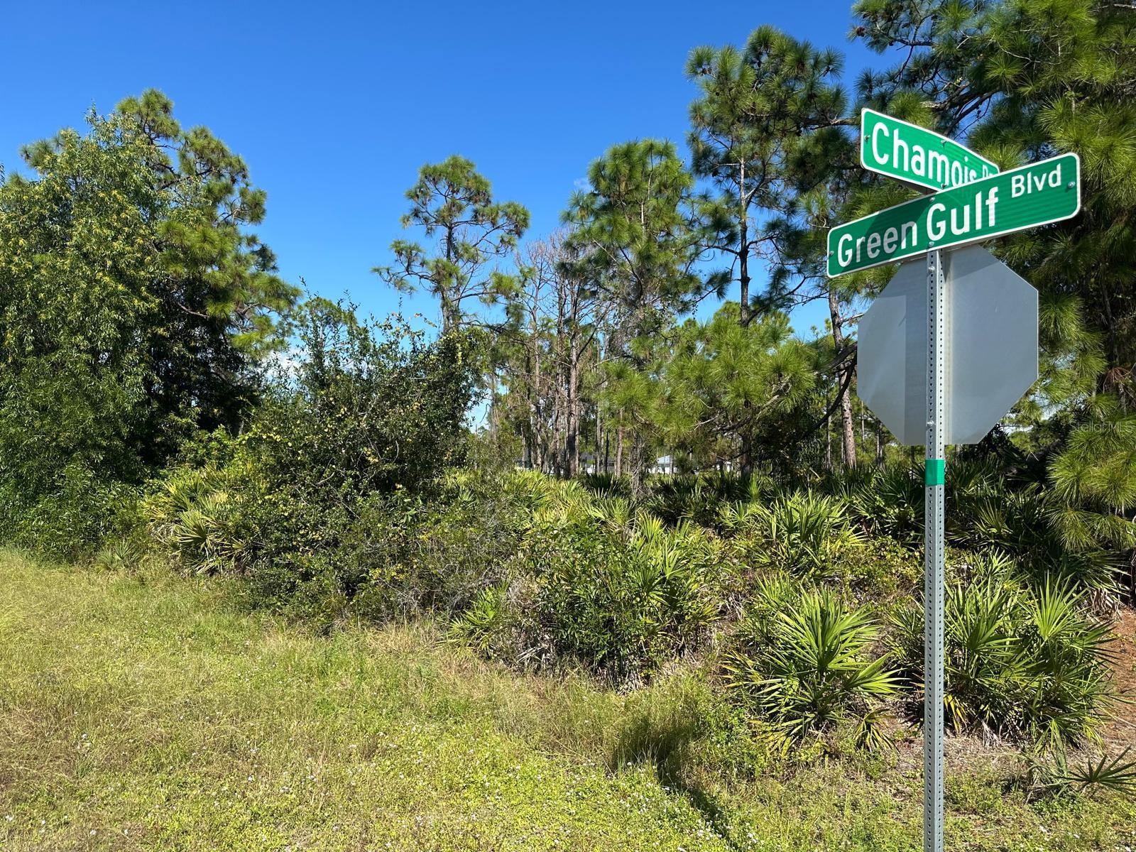 Image 5 of 8 For 27028 Chamois Drive