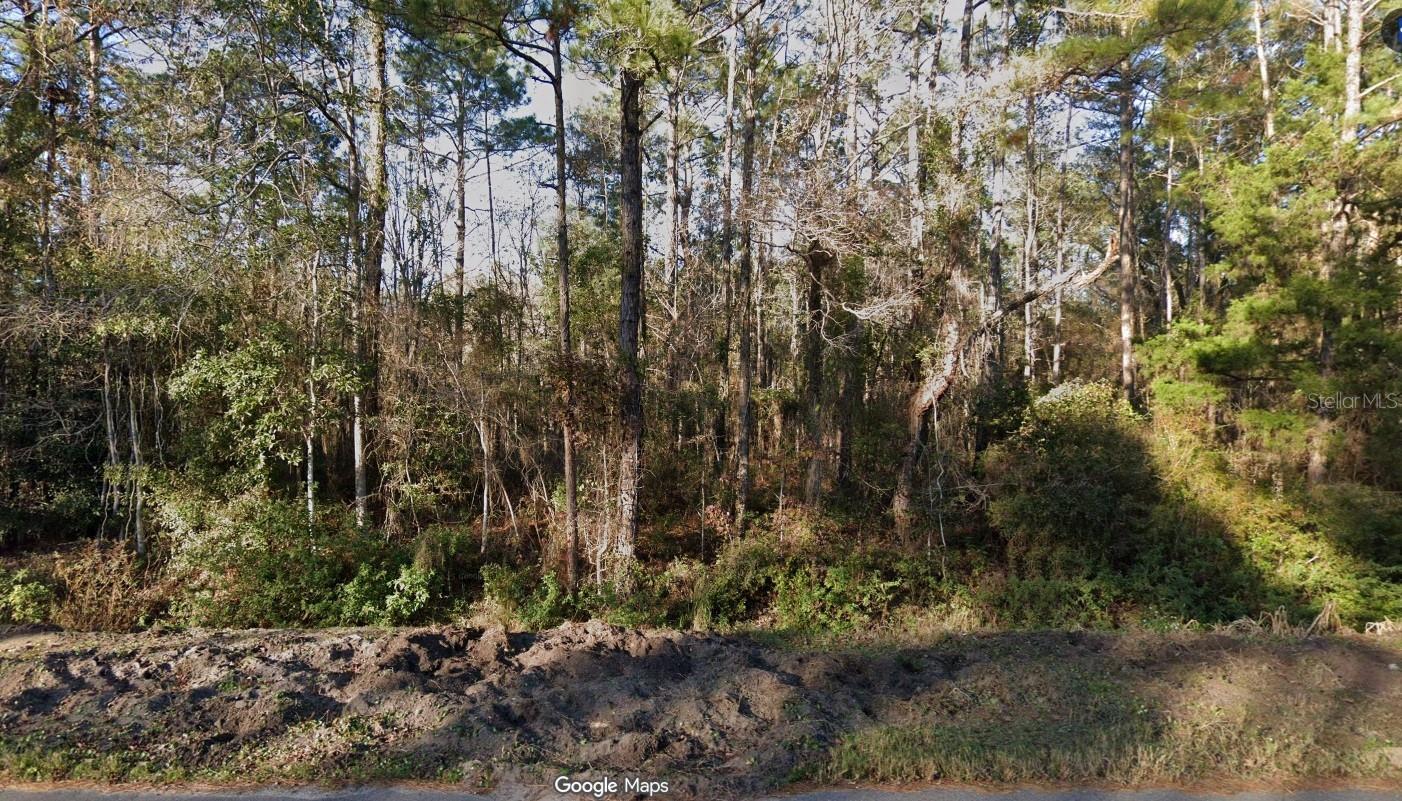 Details for 4220 Helena Street, HASTINGS, FL 32145