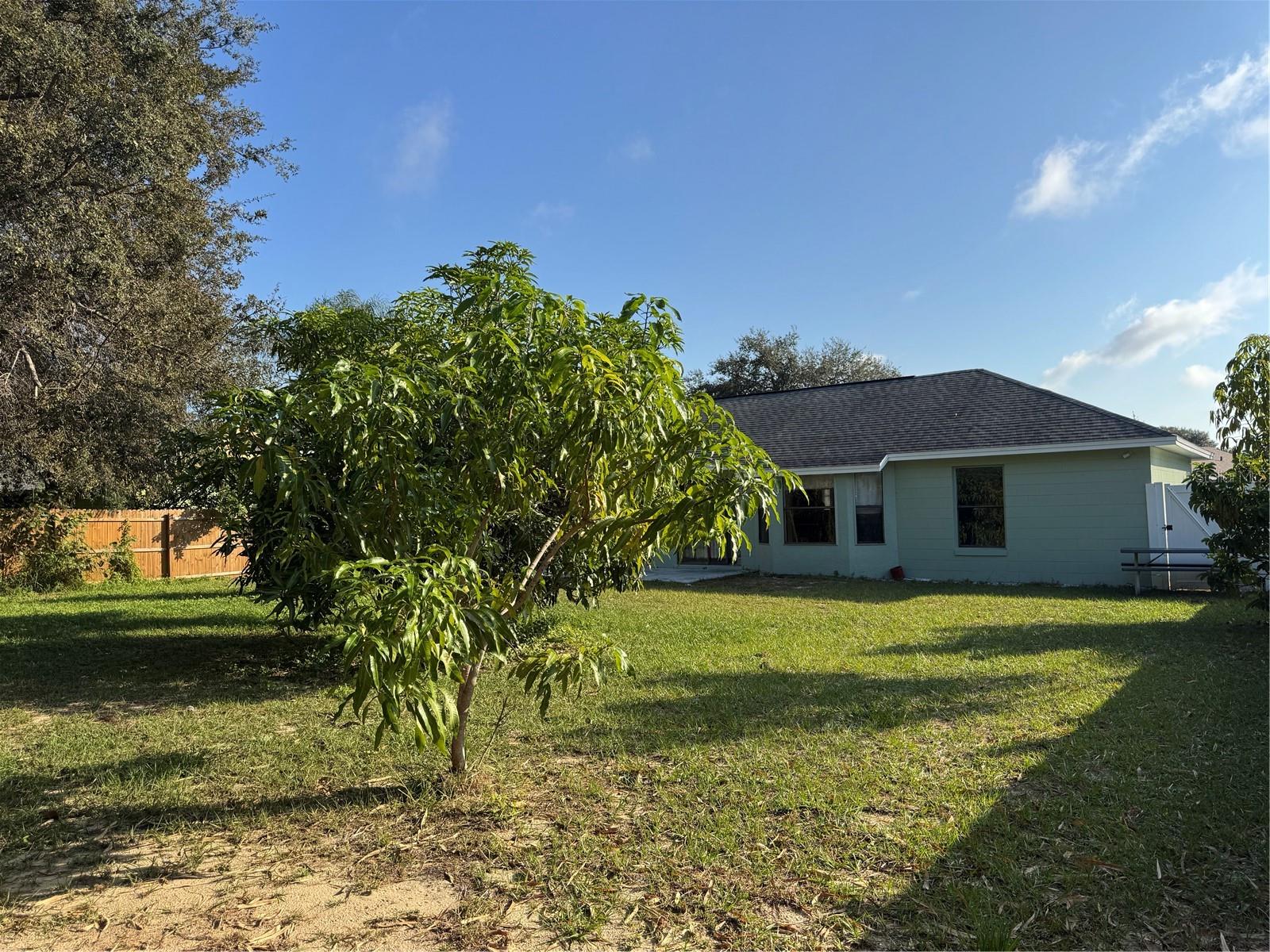Image 8 of 36 For 1806 Peakview Court