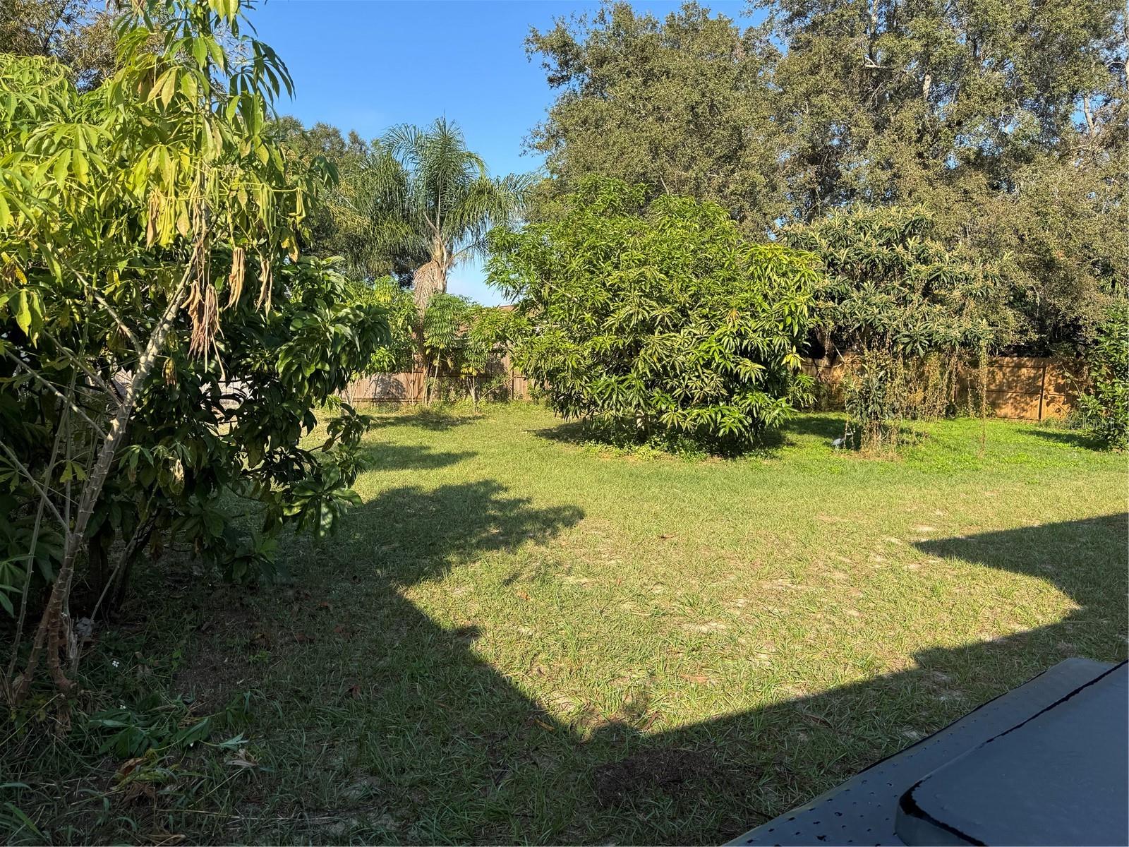 Image 9 of 36 For 1806 Peakview Court