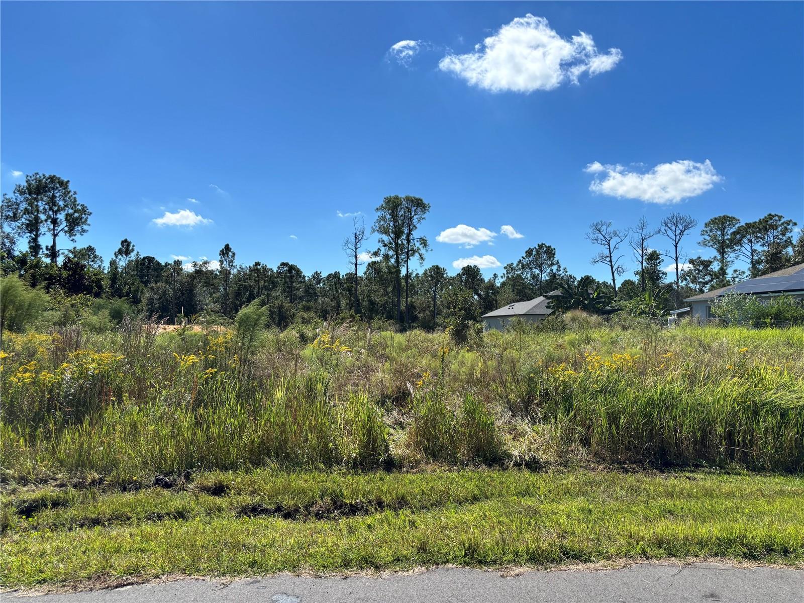 Image 4 of 8 For 8011 Ancha Street