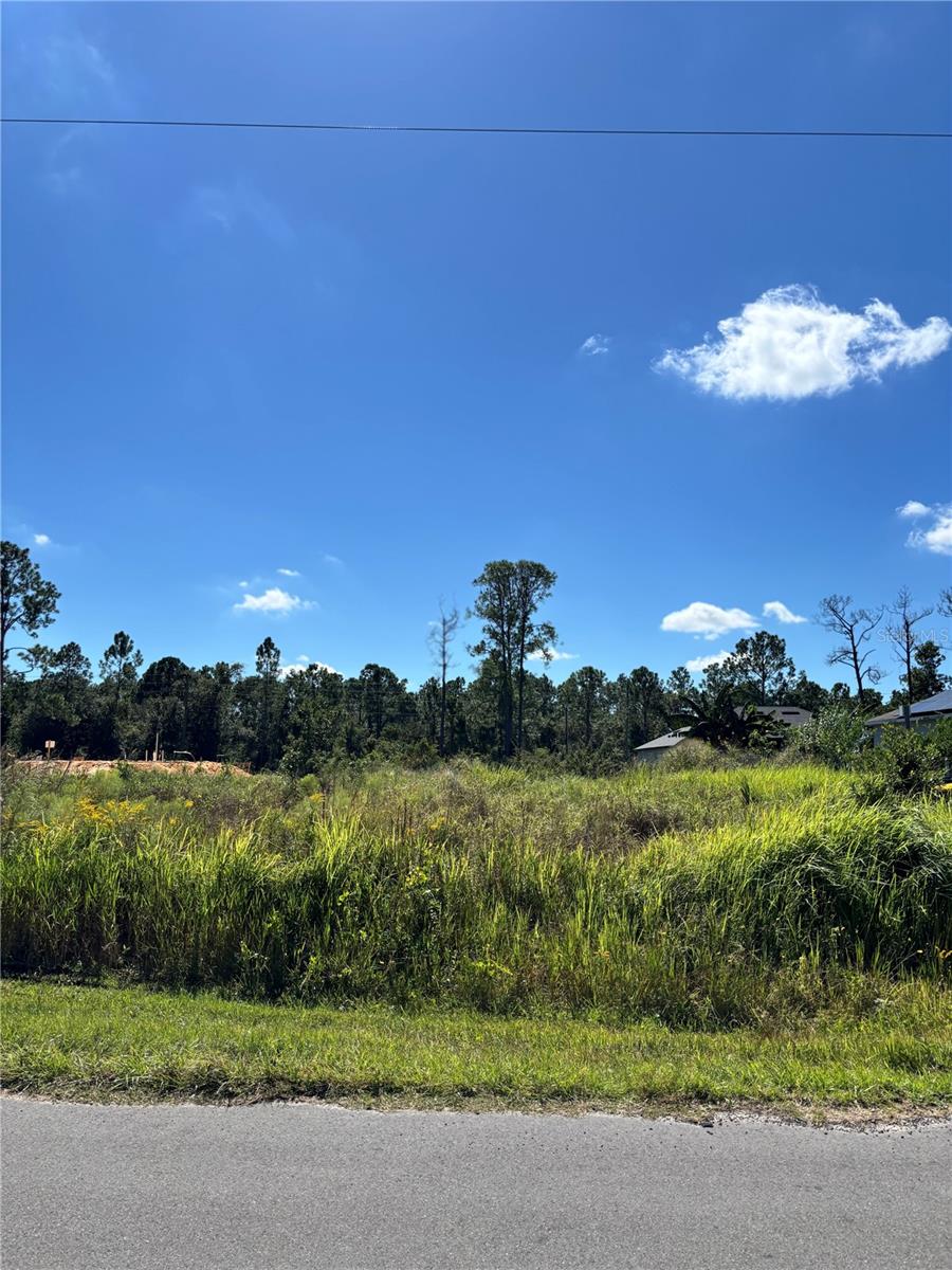 Image 5 of 8 For 8011 Ancha Street