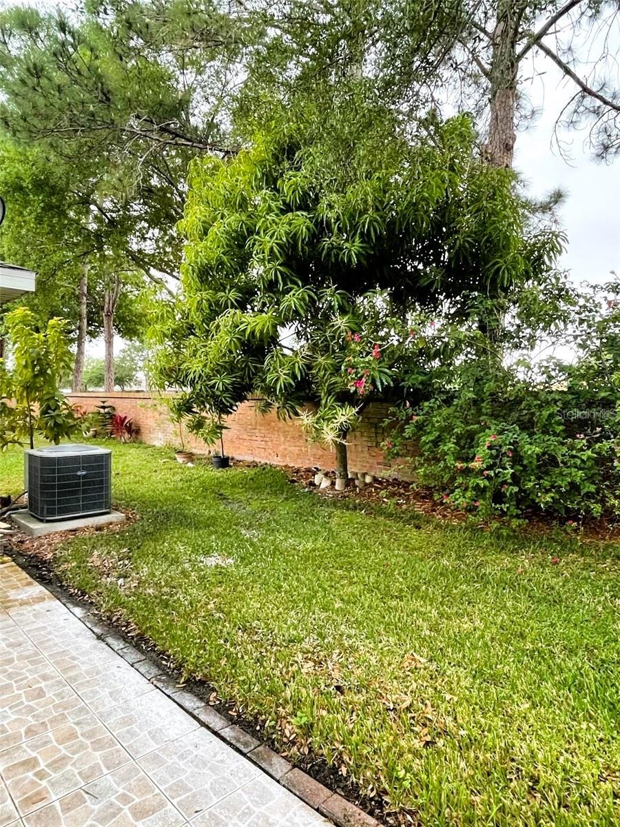 Image 14 of 14 For 1219 Lucaya Circle