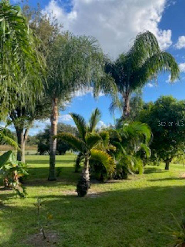 Image 43 of 44 For 3005 Cedora Terrace