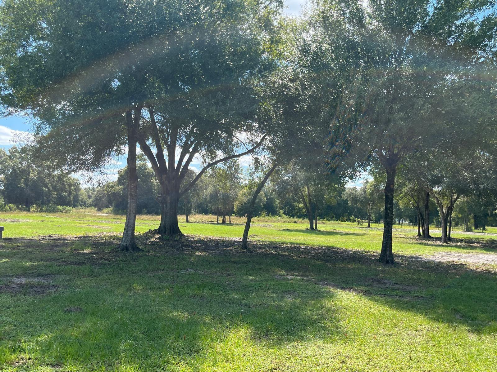 Image 5 of 7 For 740 Fronda Street