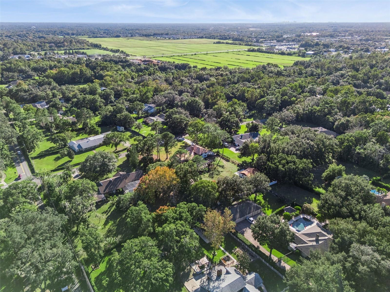 Image 45 of 55 For 317 Forest Trail