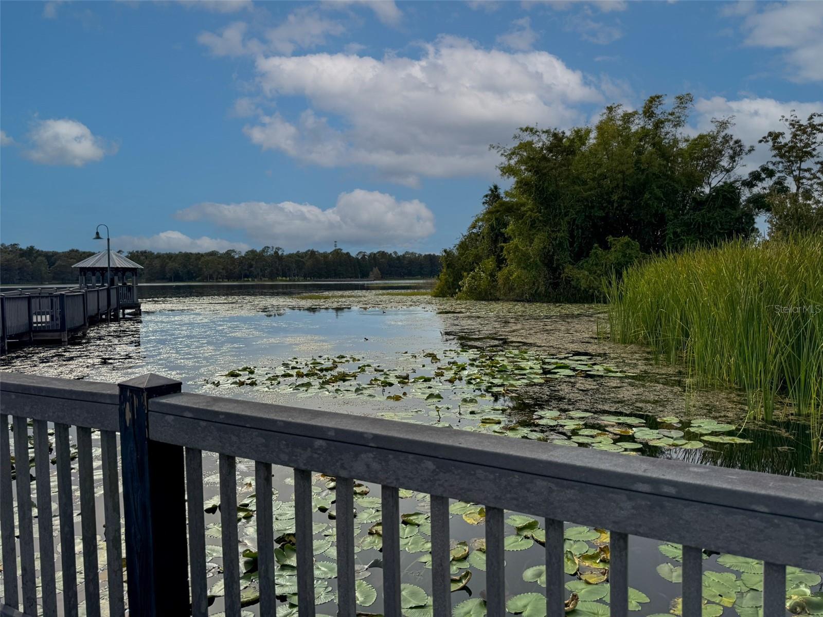 Image 30 of 30 For 6413 Astor Village Avenue 203