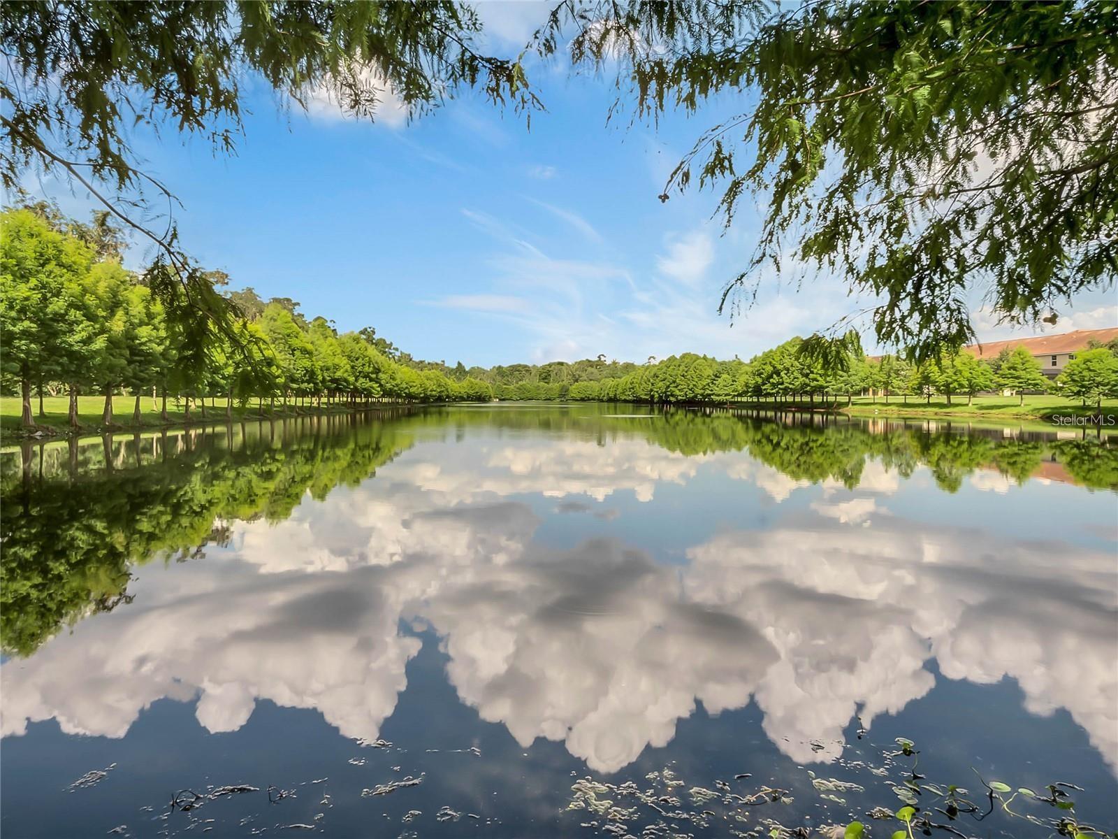 Image 39 of 39 For 308 Terracina Drive