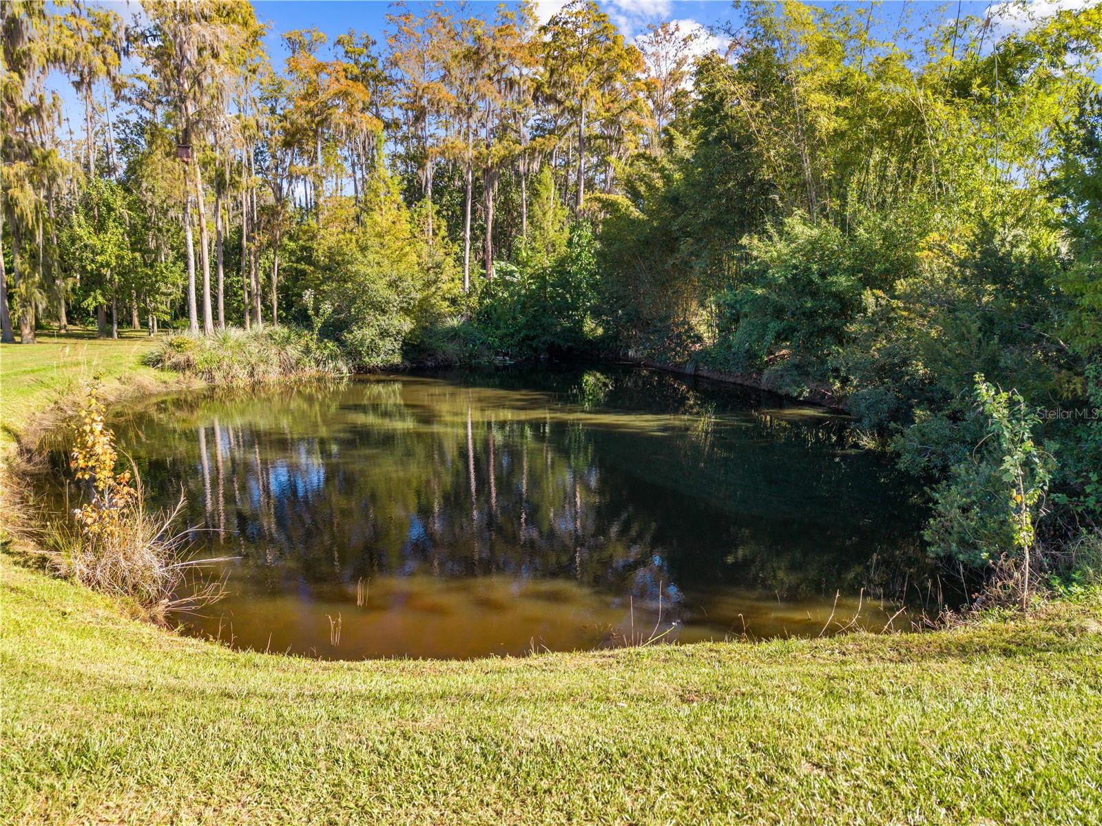 Image 86 of 93 For 4055 Edsel Avenue