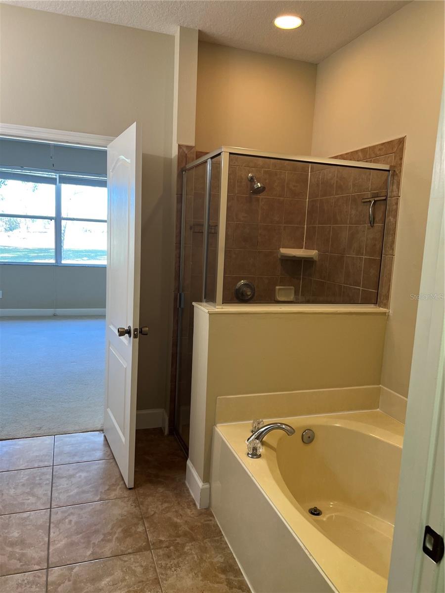 Image 13 of 41 For 33614 Campeon Court