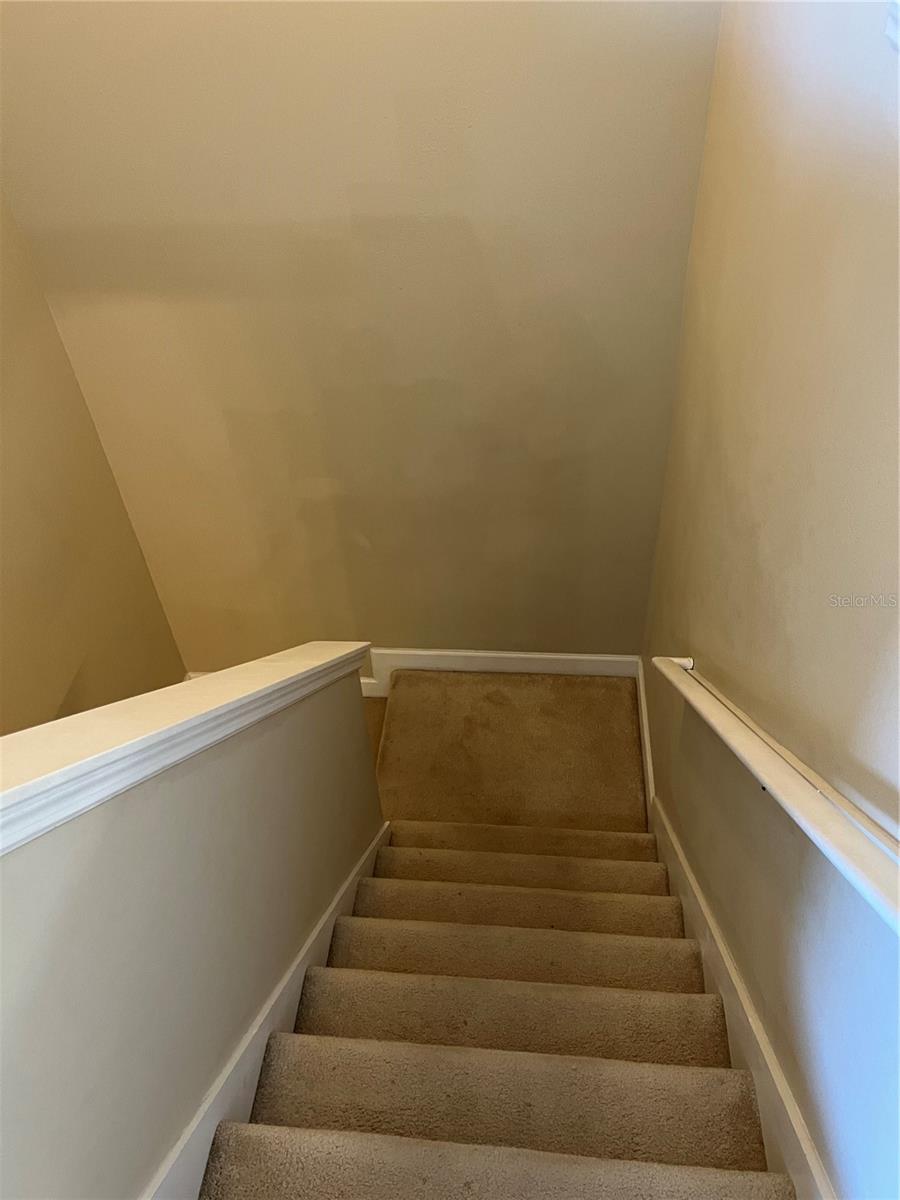 Image 29 of 41 For 33614 Campeon Court