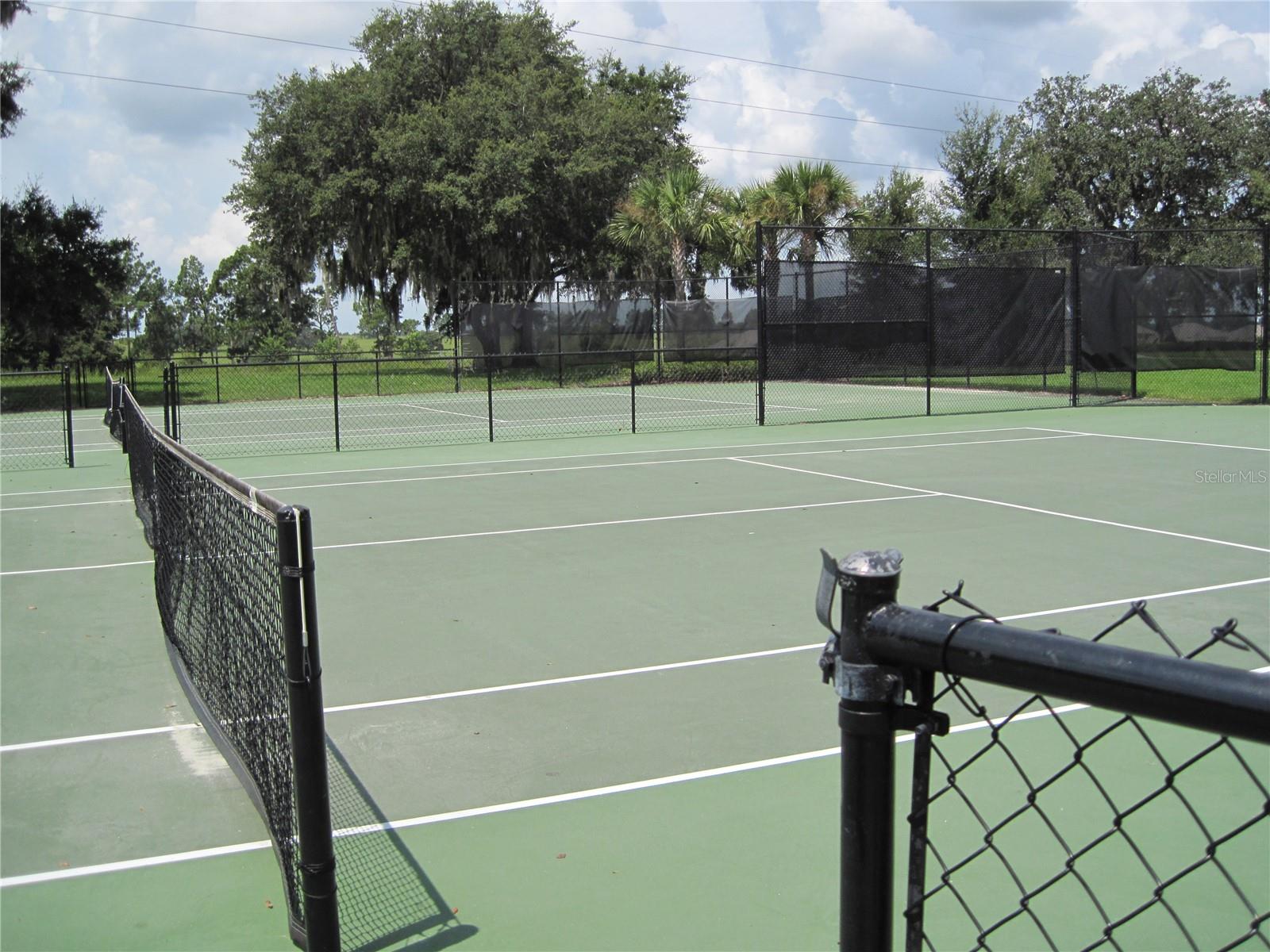 Image 36 of 41 For 33614 Campeon Court