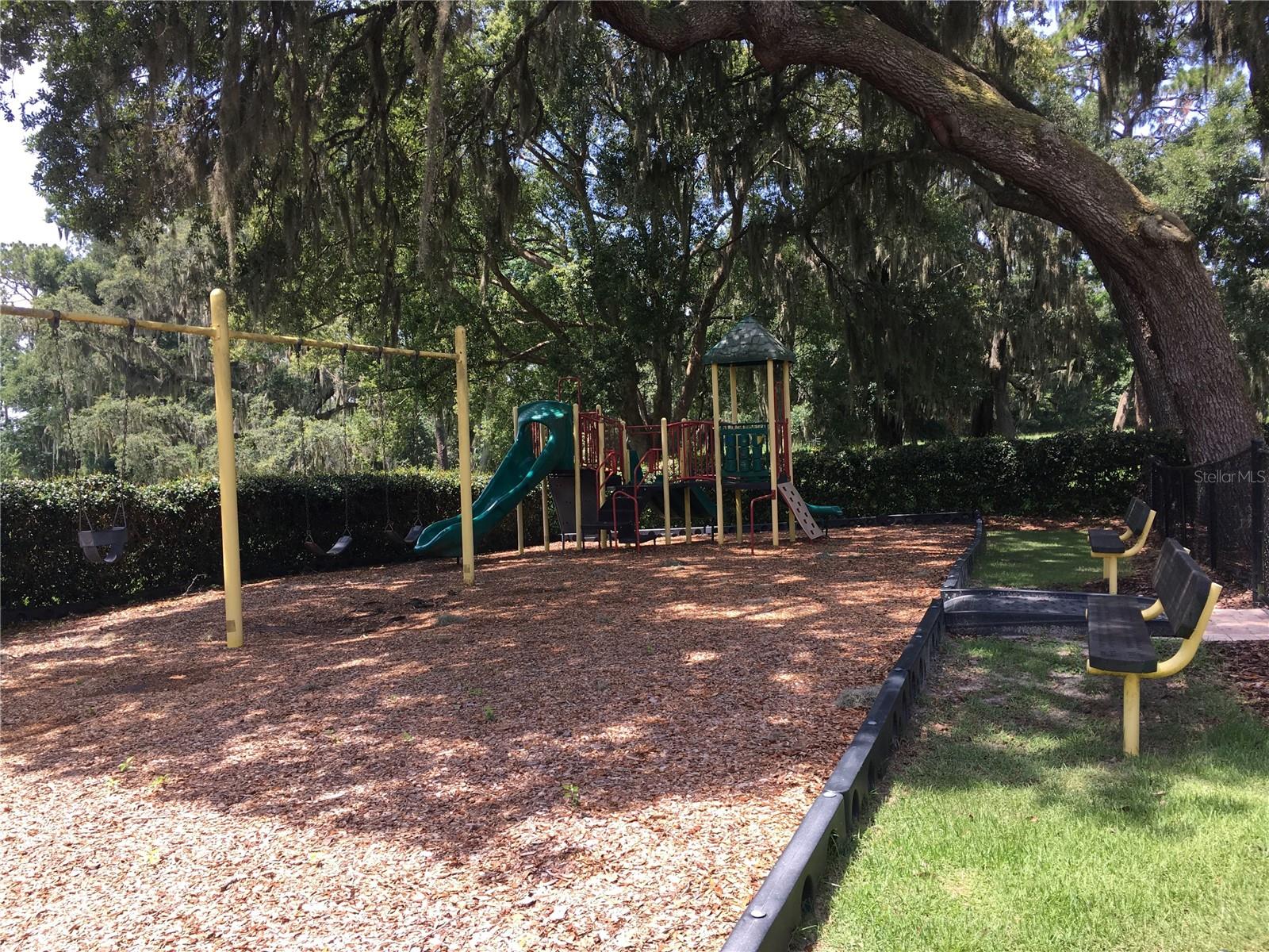 Image 38 of 41 For 33614 Campeon Court